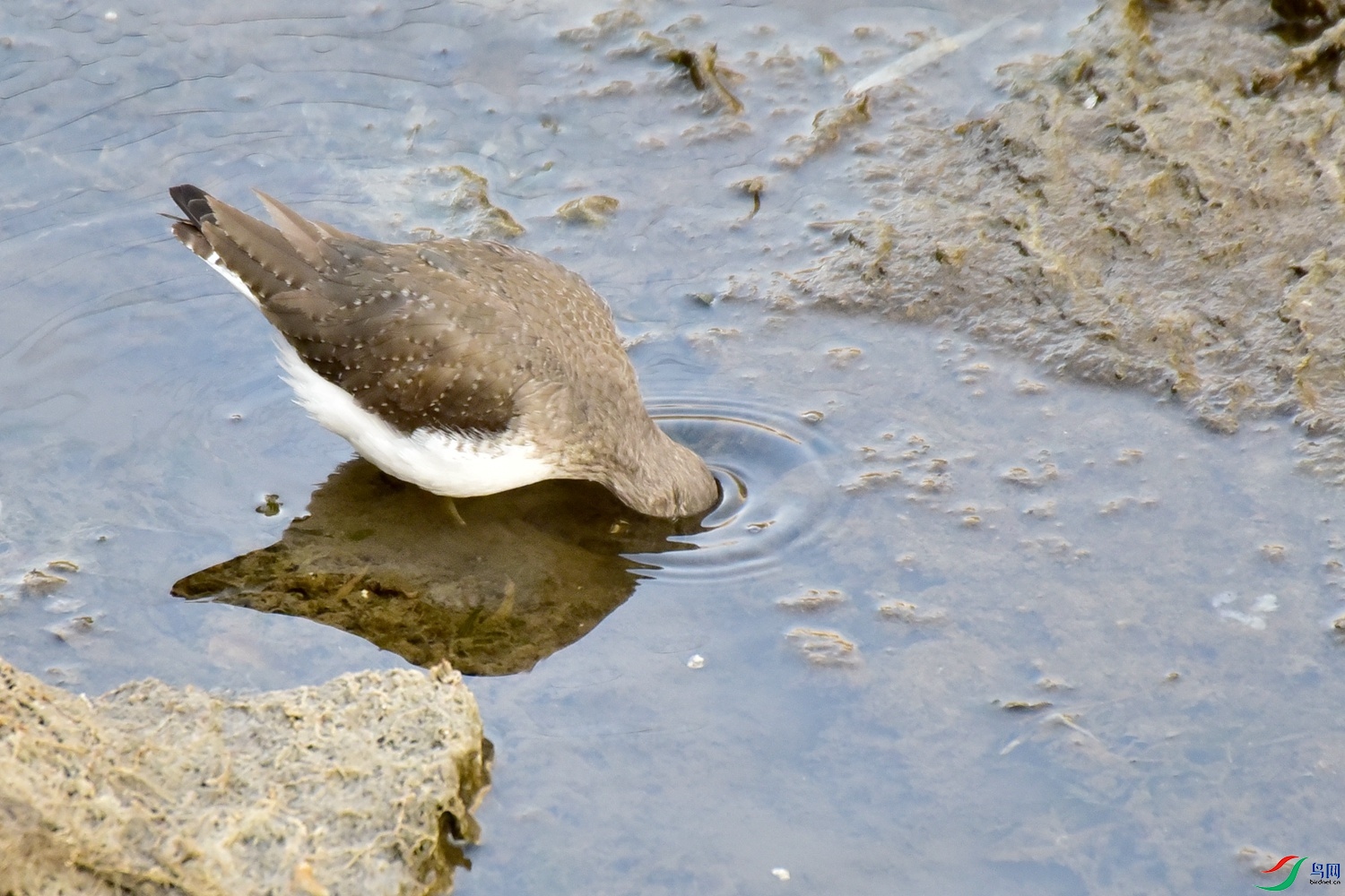 DSC_4637.JPG