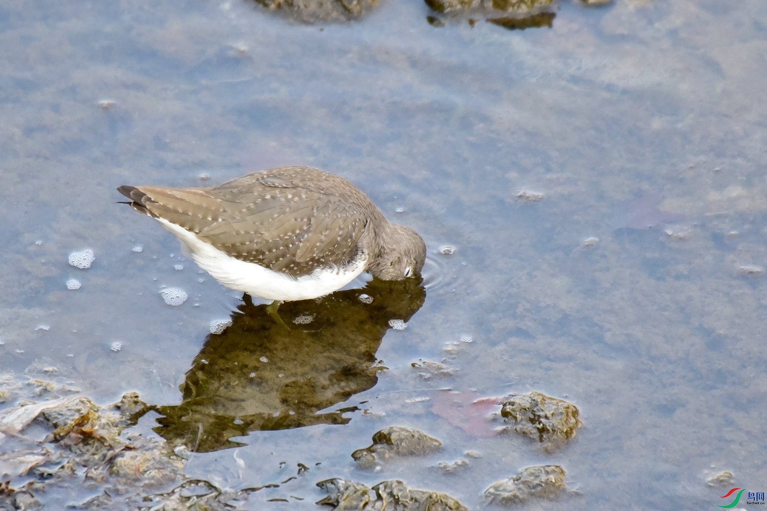 DSC_4592.JPG