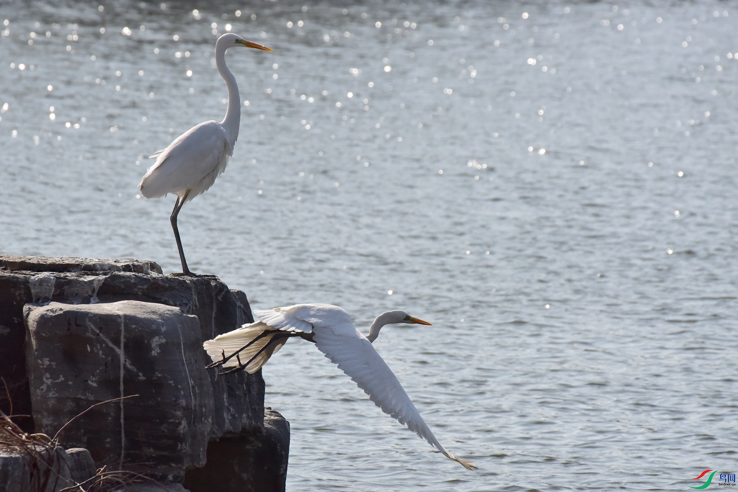 DSC_5990.JPG