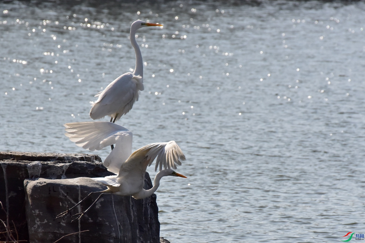 DSC_5989.JPG
