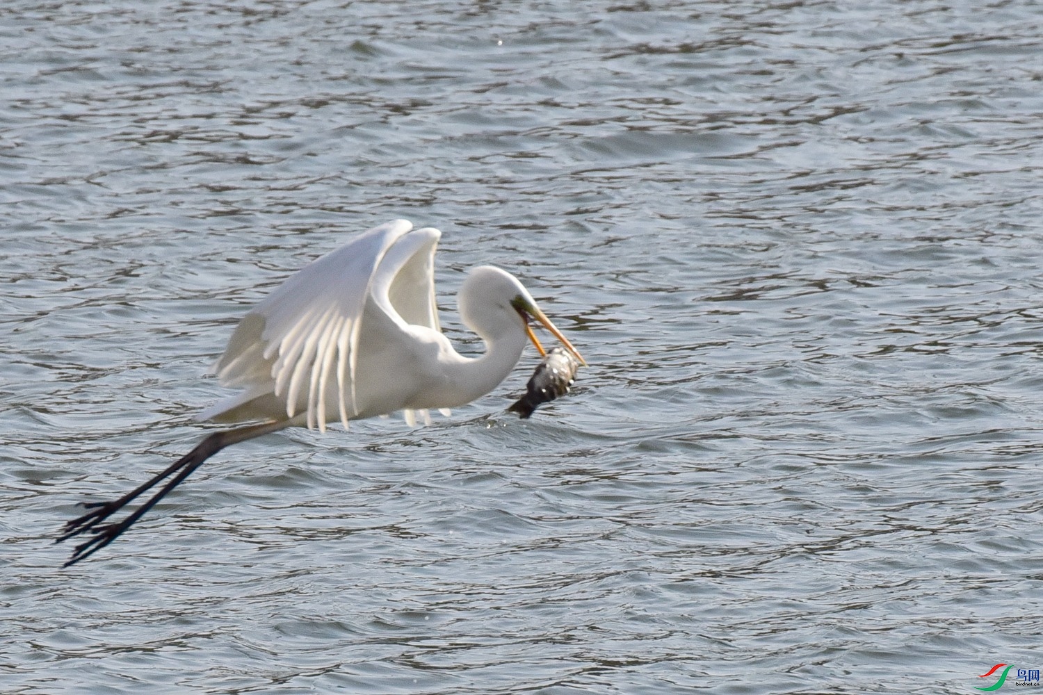 DSC_6122.JPG