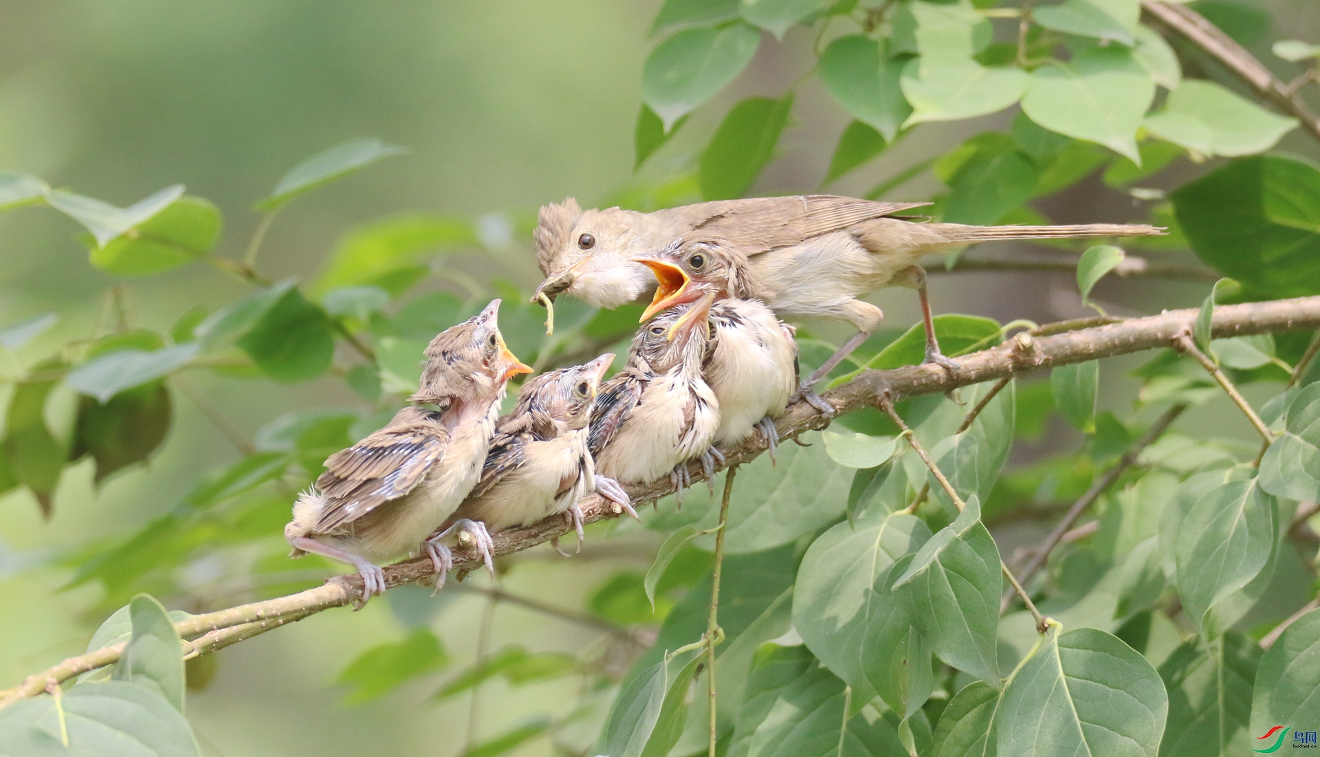0G1A0137.JPG