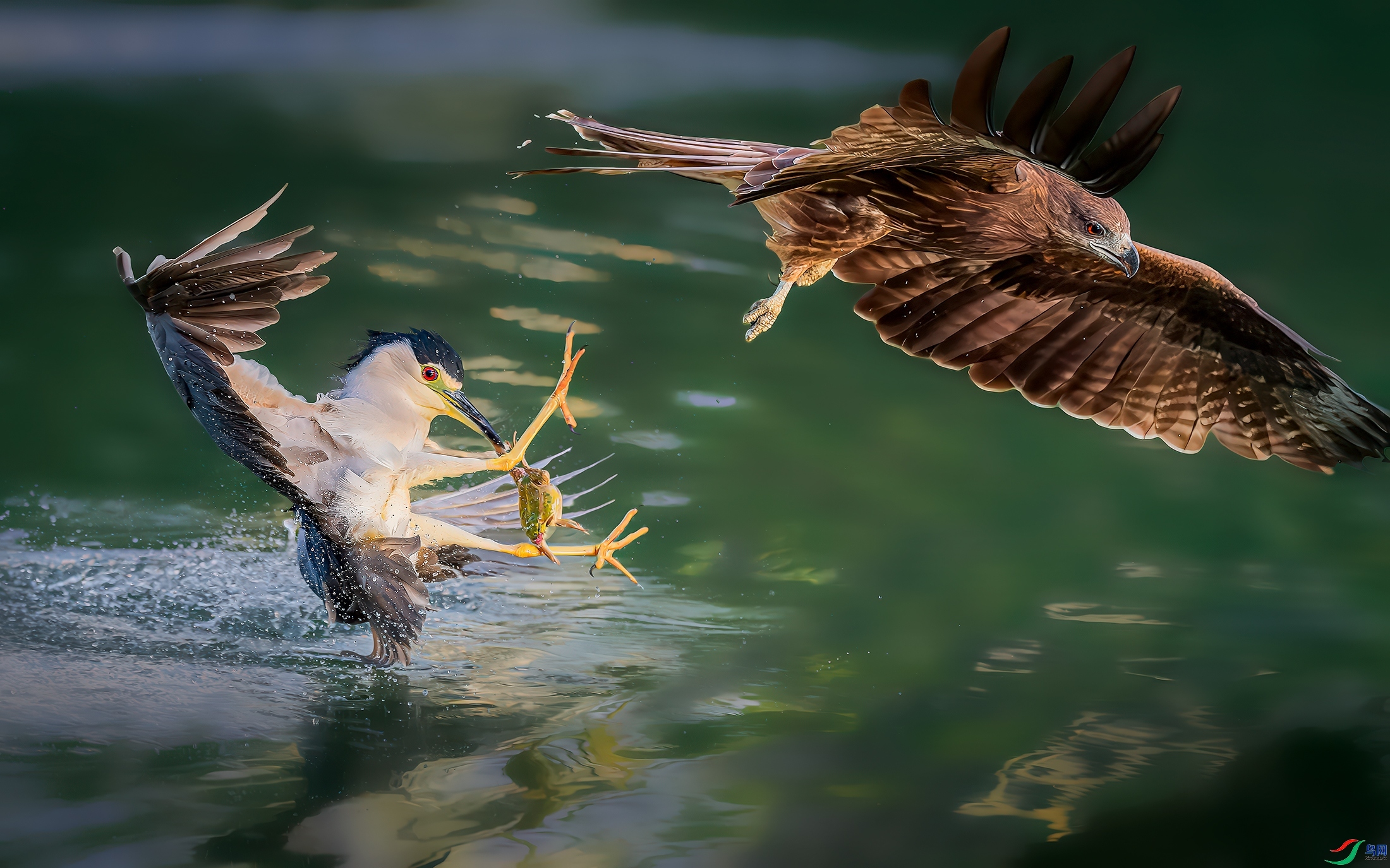 ����������  ���� ����Ӱ ��һ.jpg