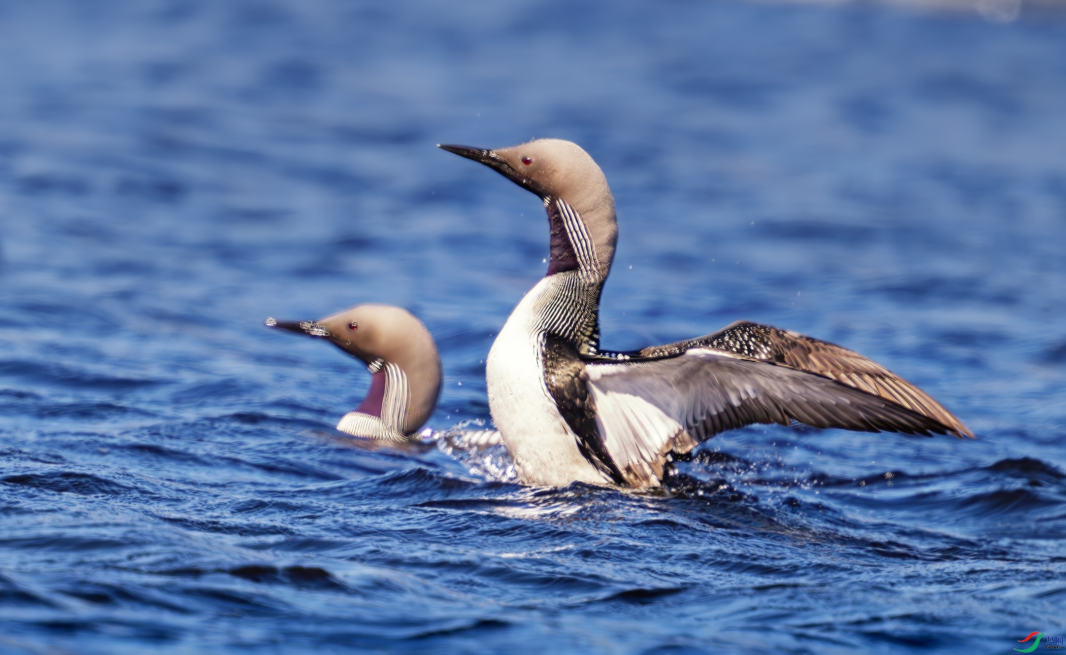 һ�� ���� �������� ��һ.jpg