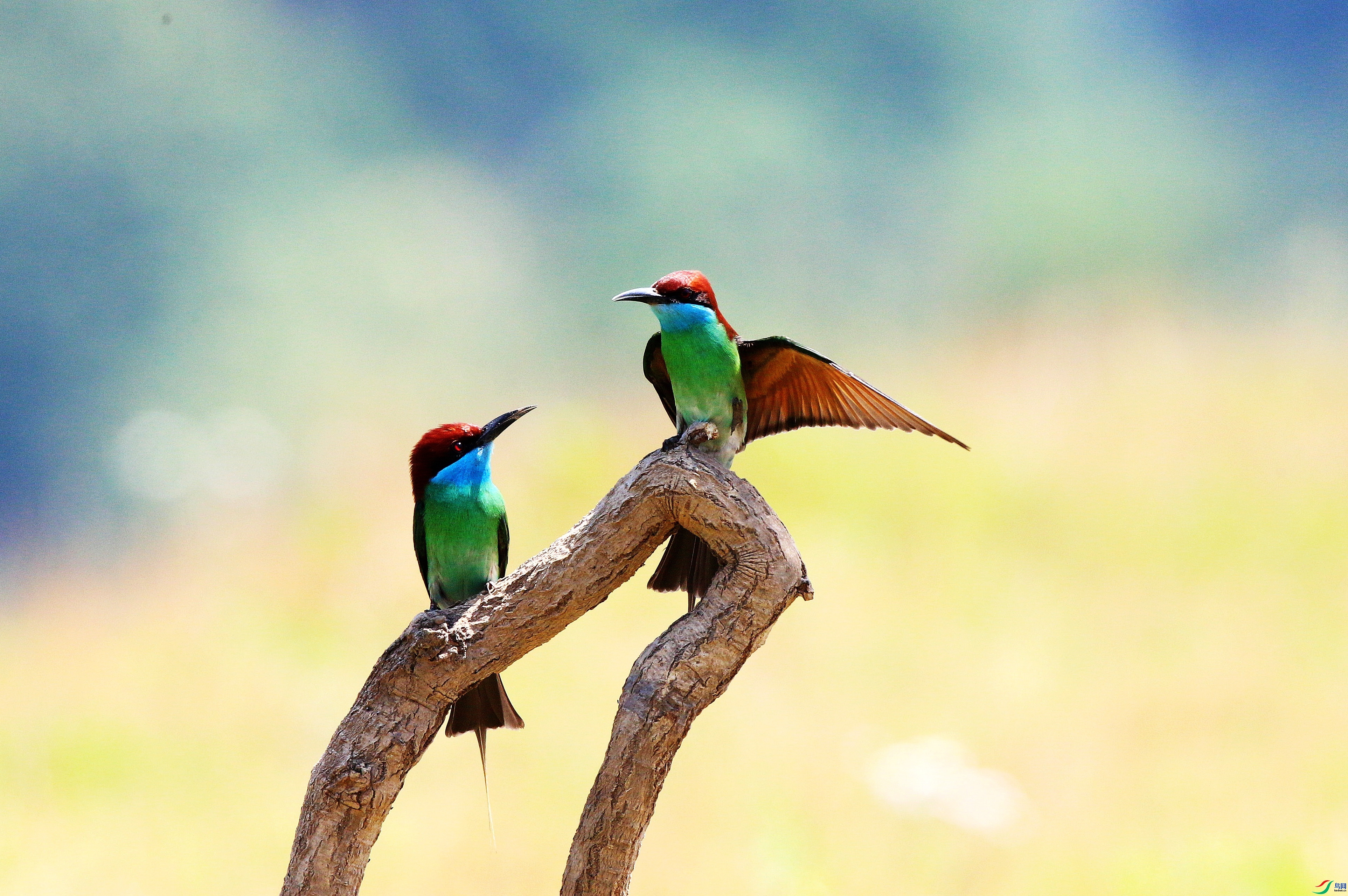 ʾ��   �����仢  ���� ��Ƭ��� �ܶ�.jpg