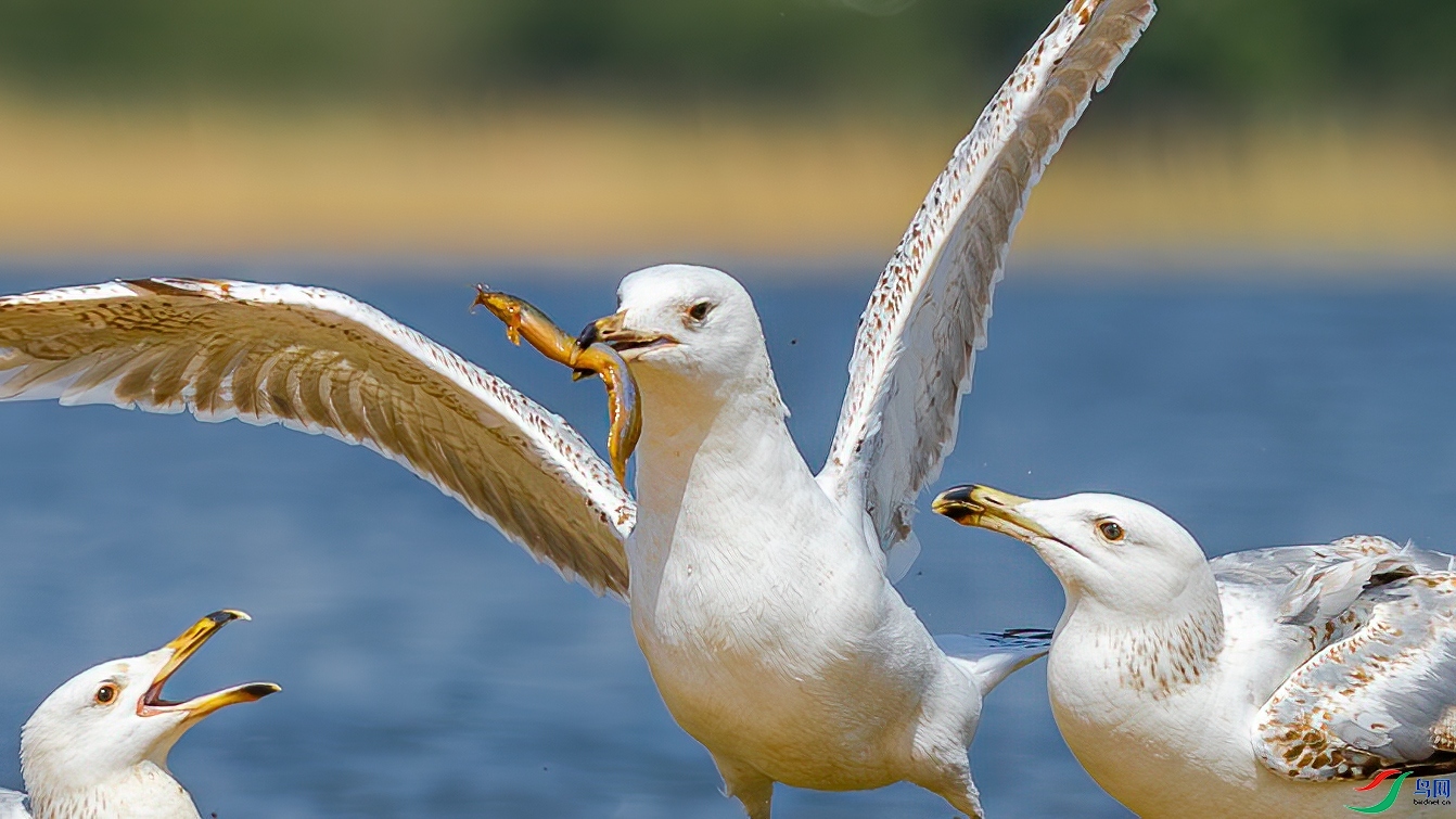 ��  ���� �䱾���� �ܶ�.jpg