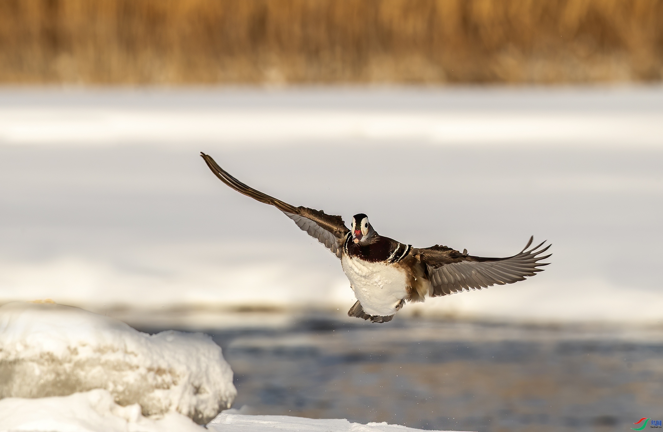 ������ ���� ����  �ܶ�.jpg