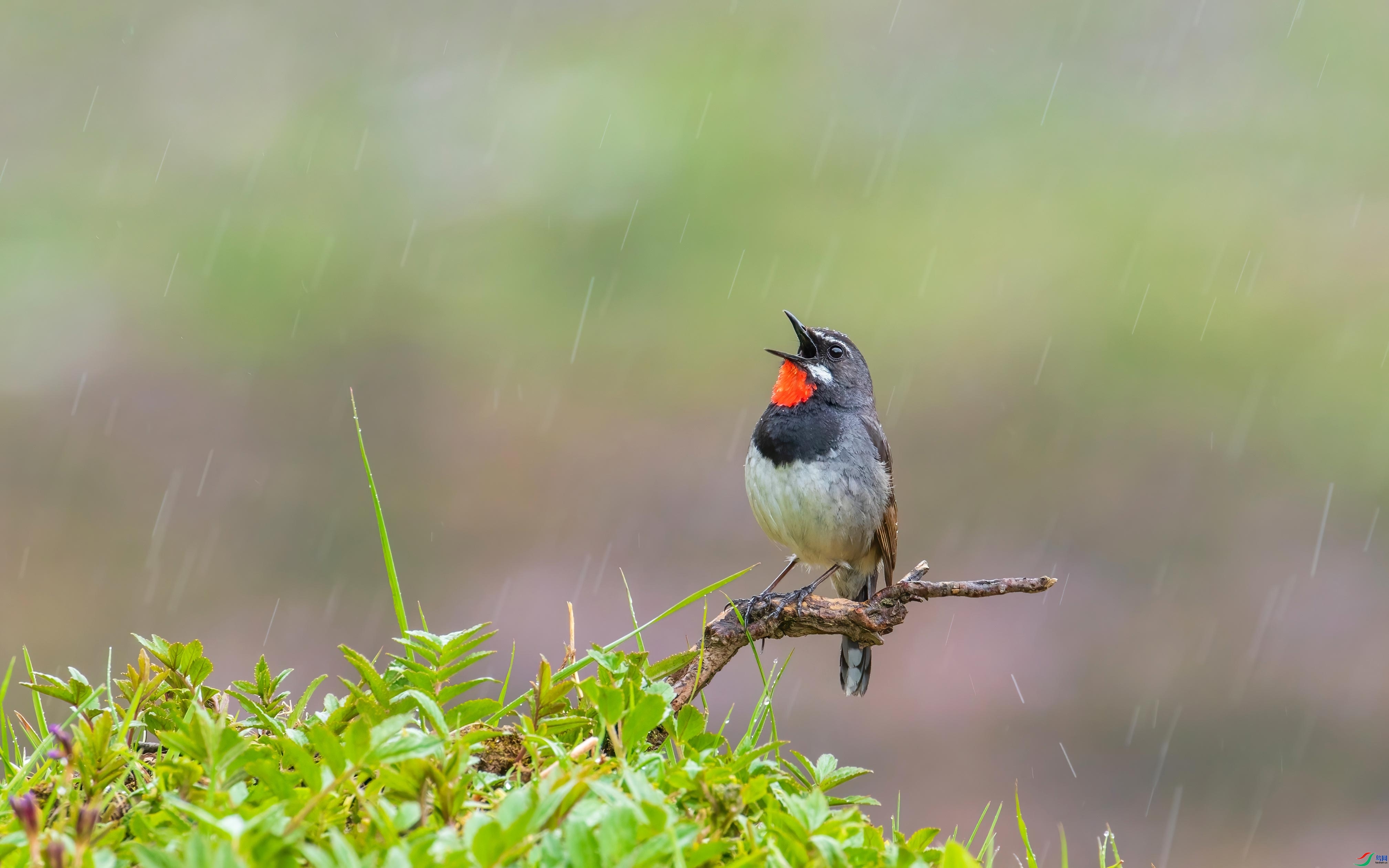 ����֪ʱ�� ���� �ɶ��Ͻ�  ����.jpg