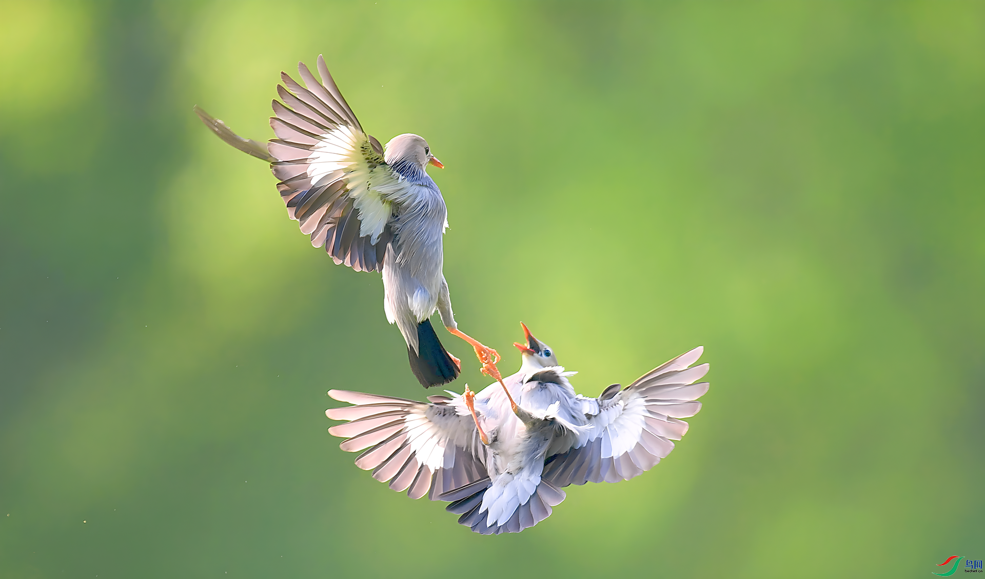 ���ֵ�һ�� ���� ����뻳 ����.png