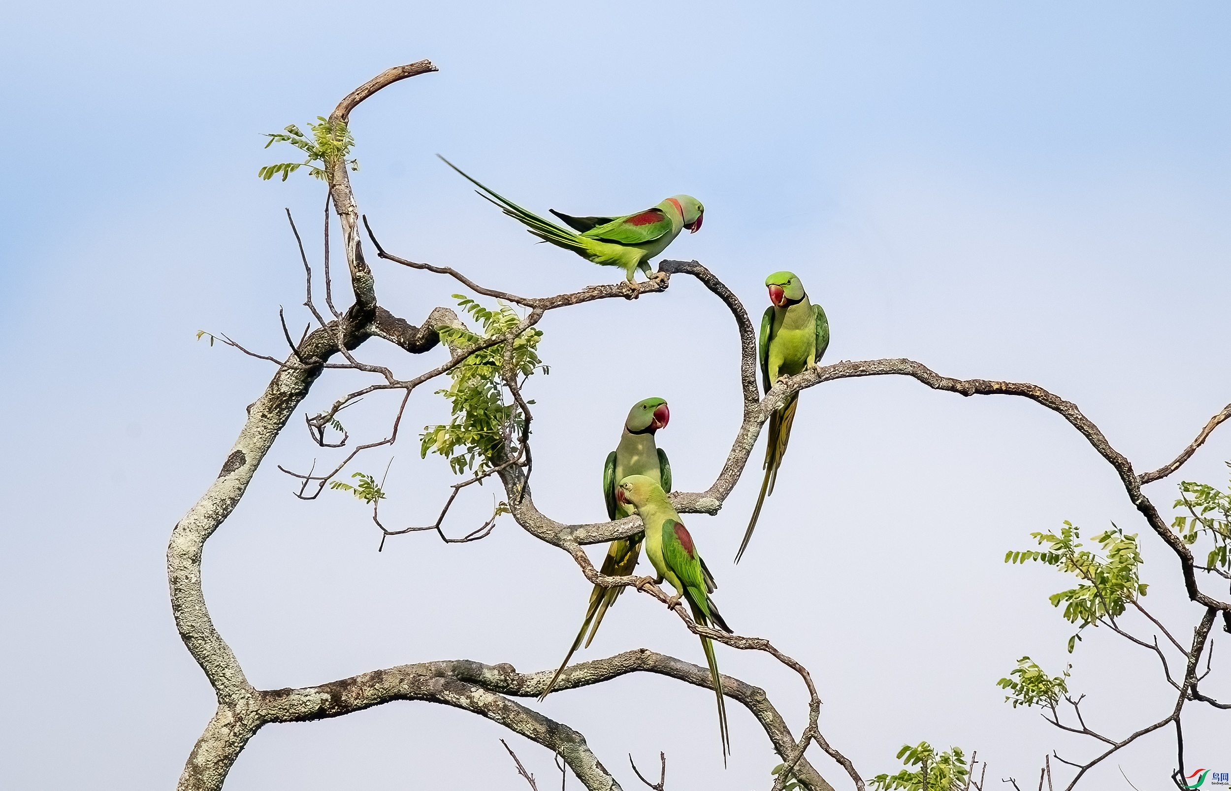 AC3I3383 ����.jpg