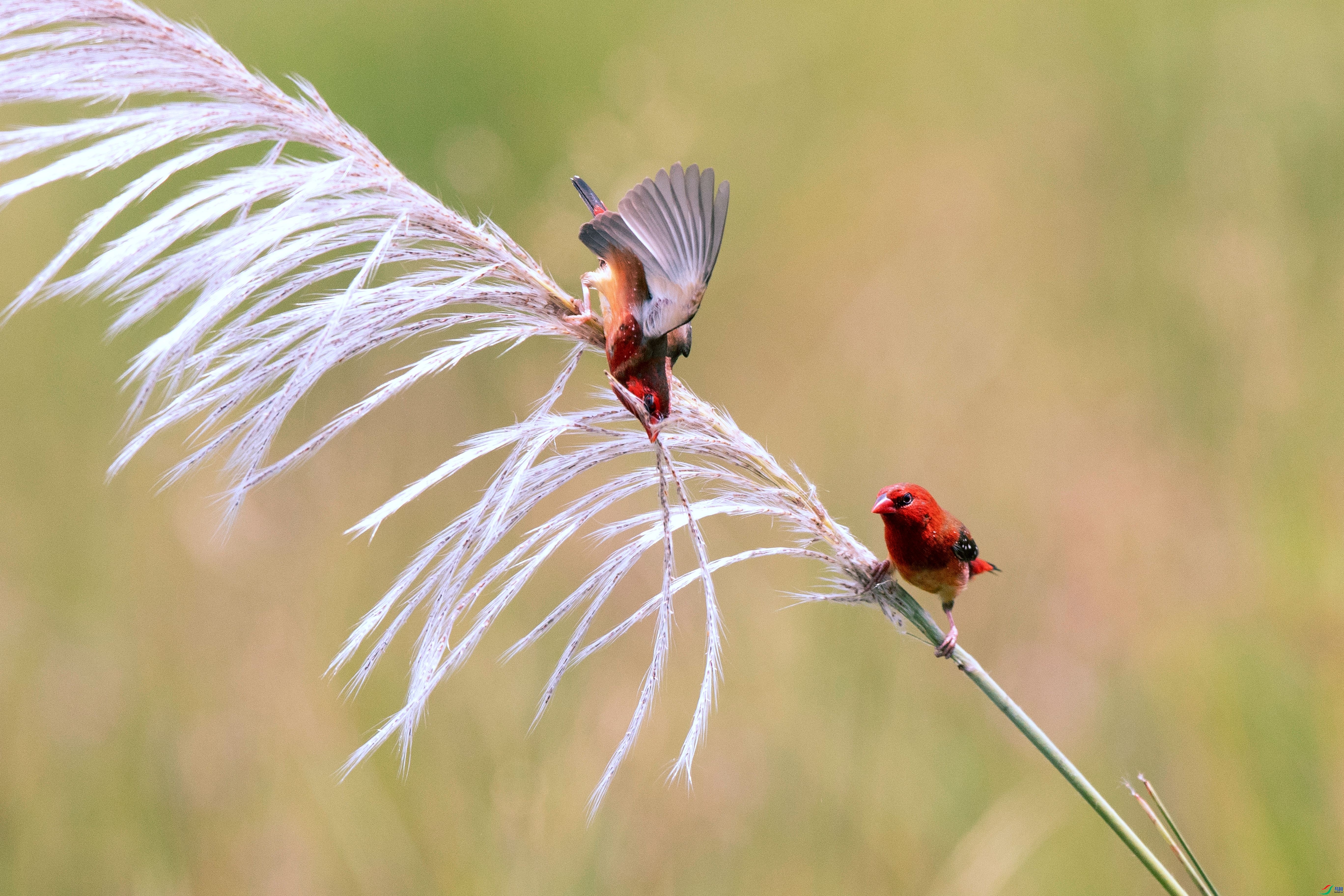 ��÷��ȸ  ���� ��Ƭ��� ����.jpg