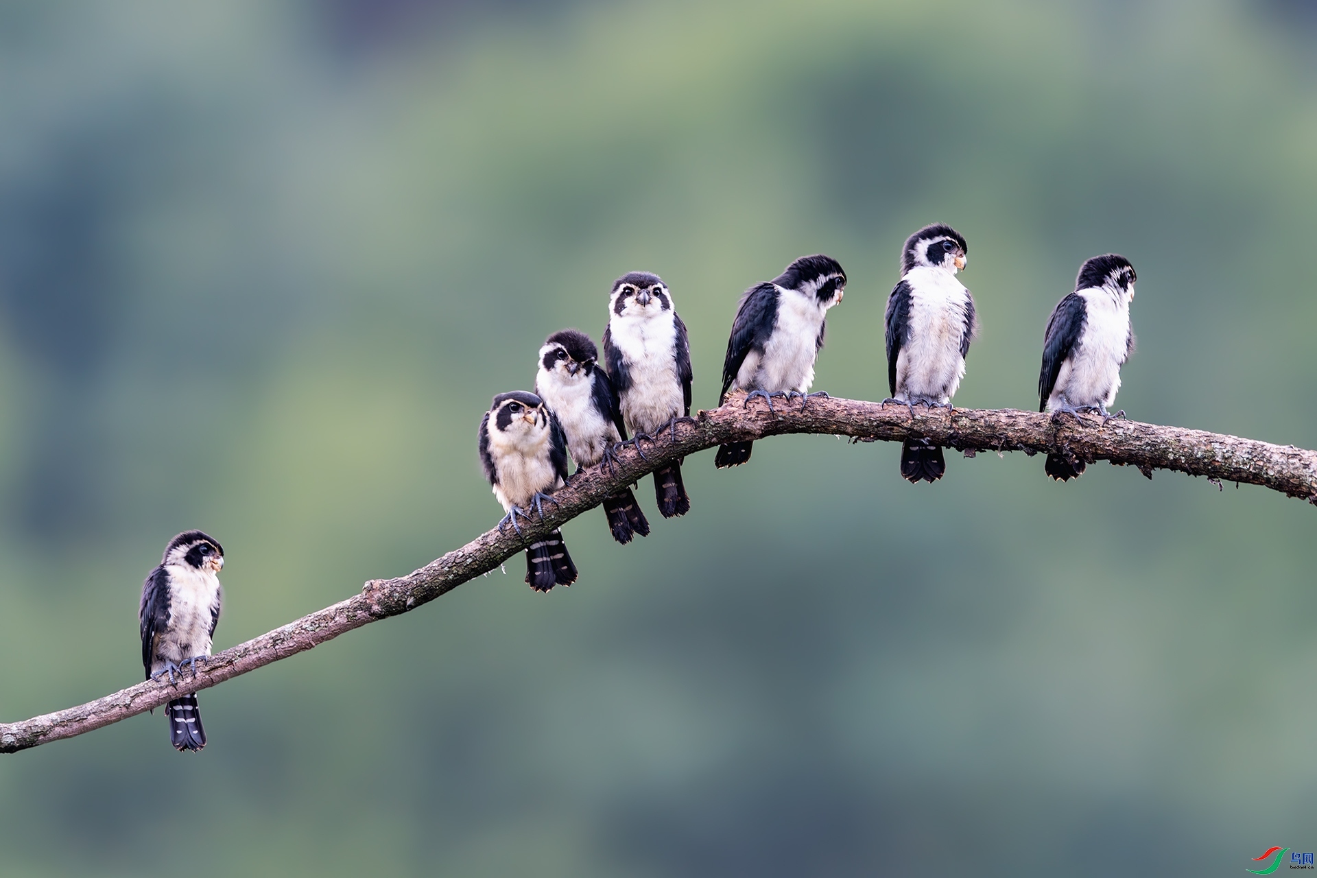 ** ���� ����ǿ ����.jpg