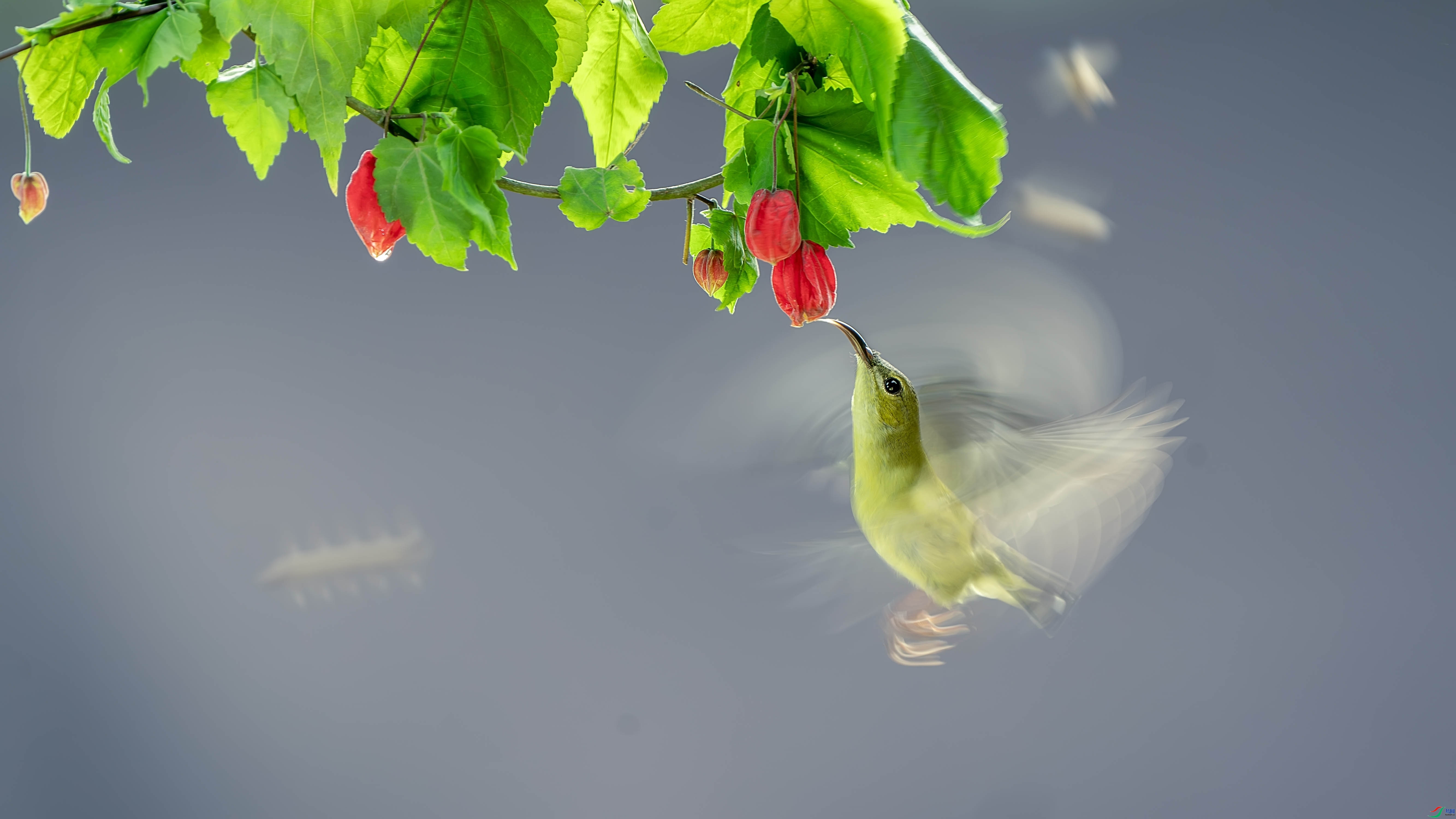 ����  ���� ׾�� ����.jpg