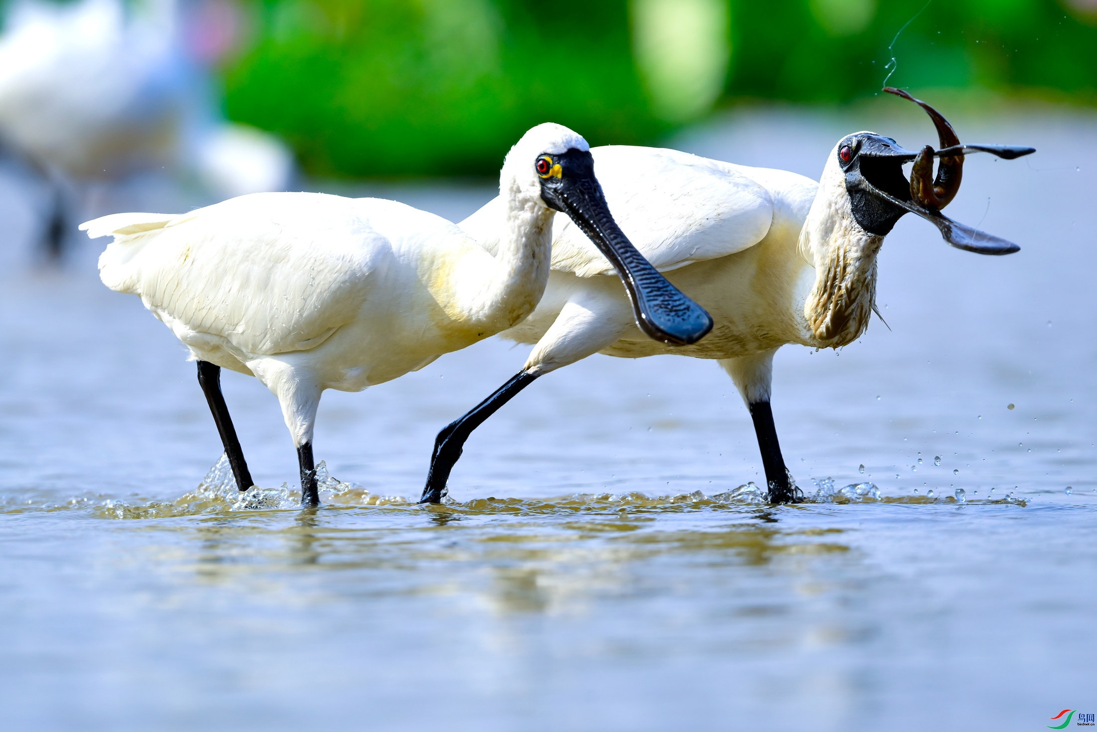 ��׷����  ���� �չ�����-����  ����.jpg