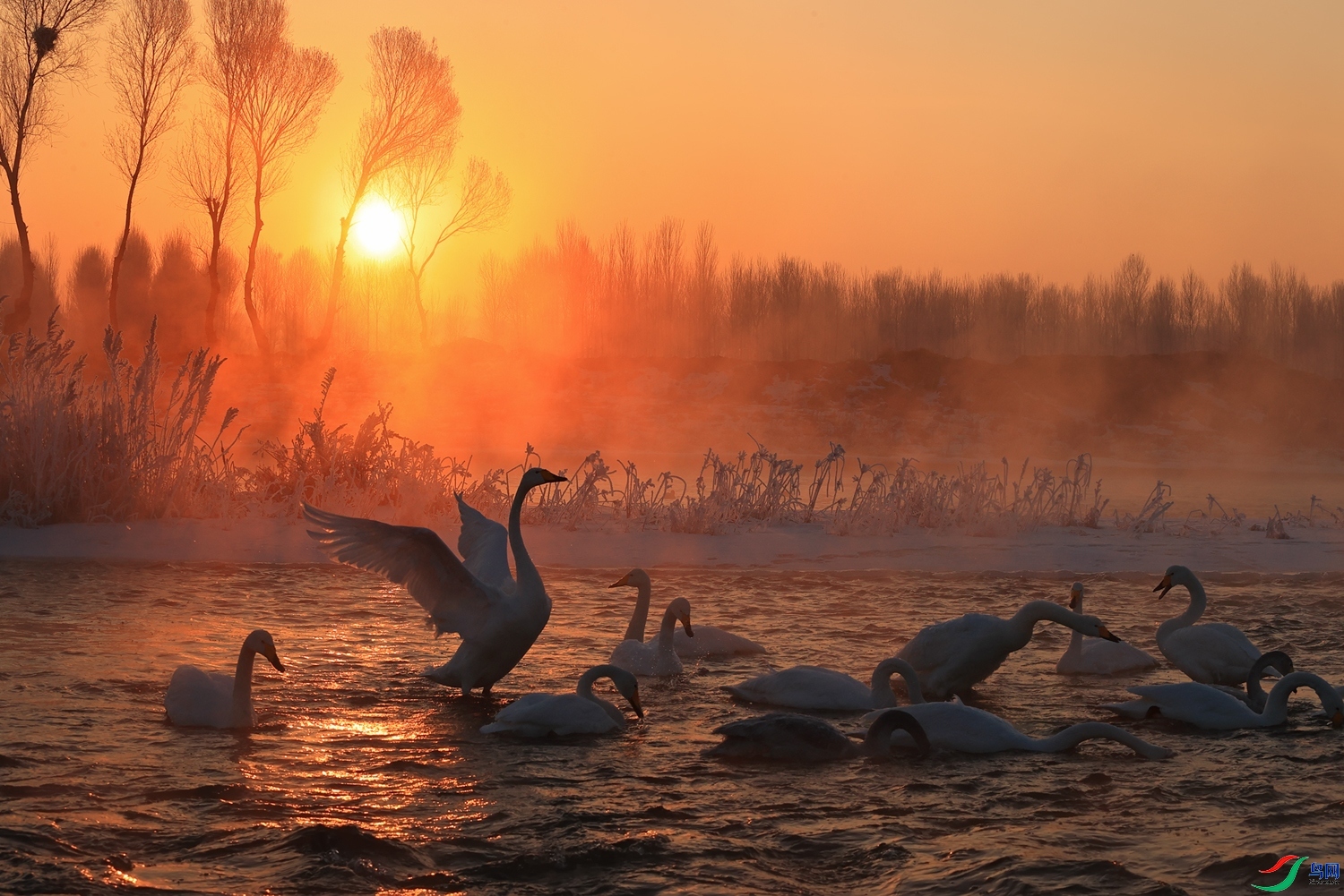 �ճ�ʱ�� ���� ��Ұ ����.jpg