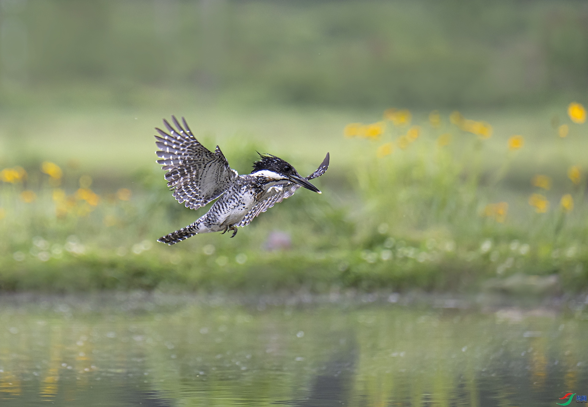 ���㹷���ٽ�����  ���� һ�ű��� ����.jpg