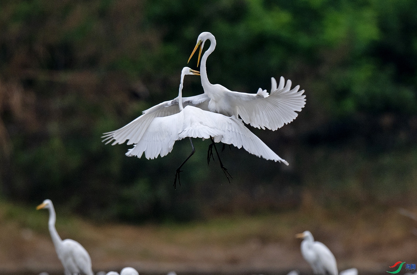 ���в��� ���� ������ǰ ����.jpg