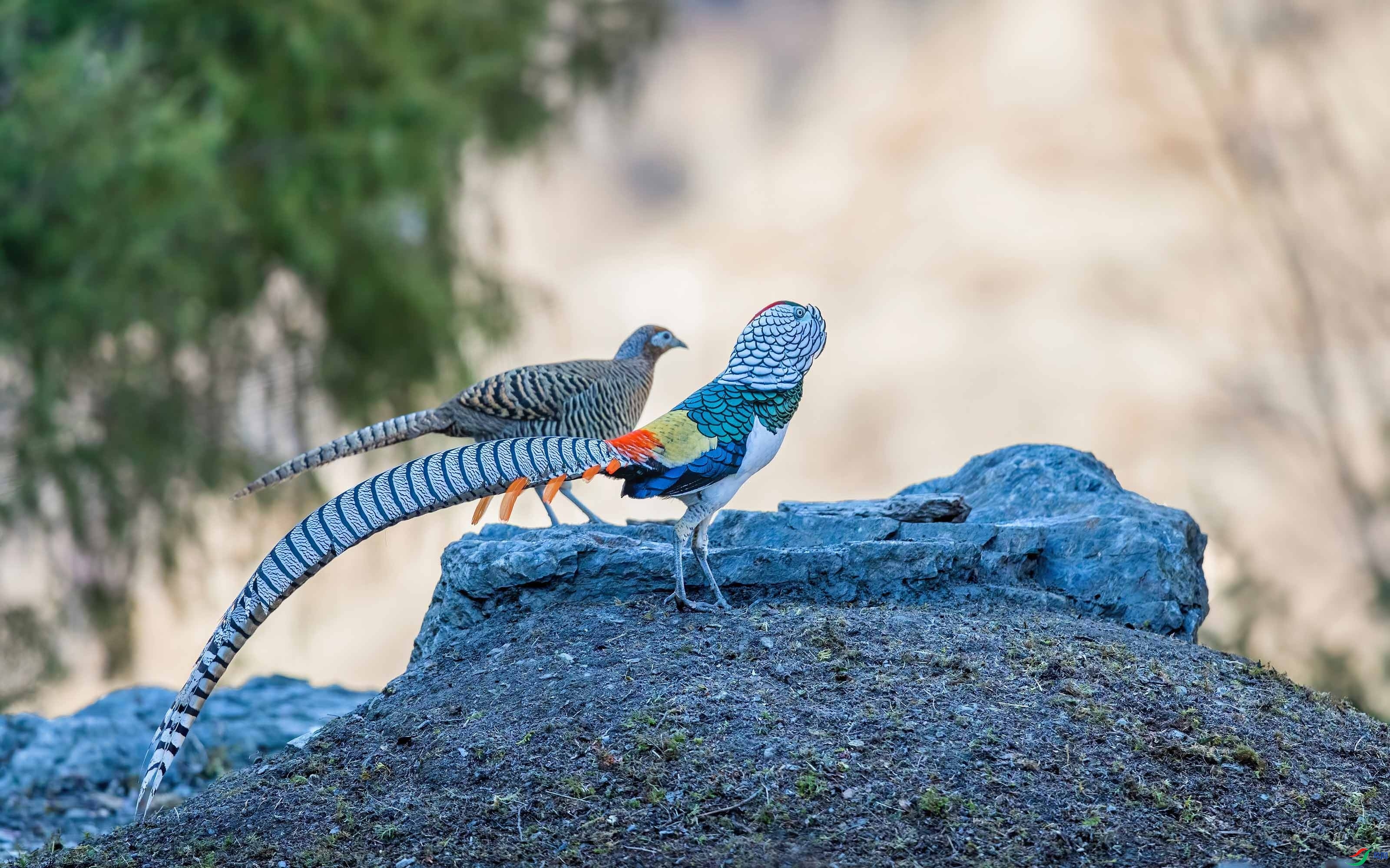 �������  ���� �ɶ��Ͻ� ����.jpg