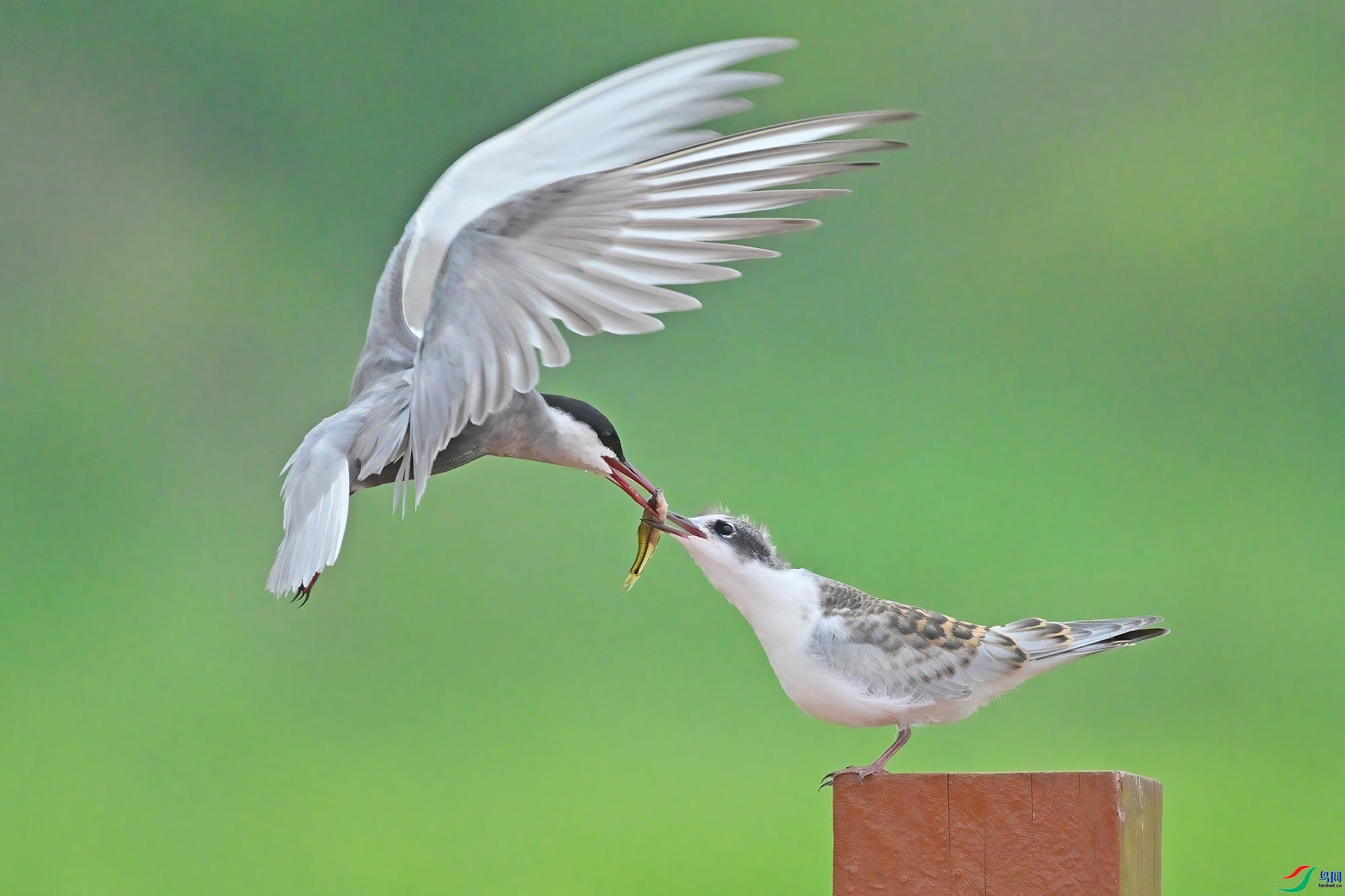 �Խ� ���� 0451x  ����.jpg