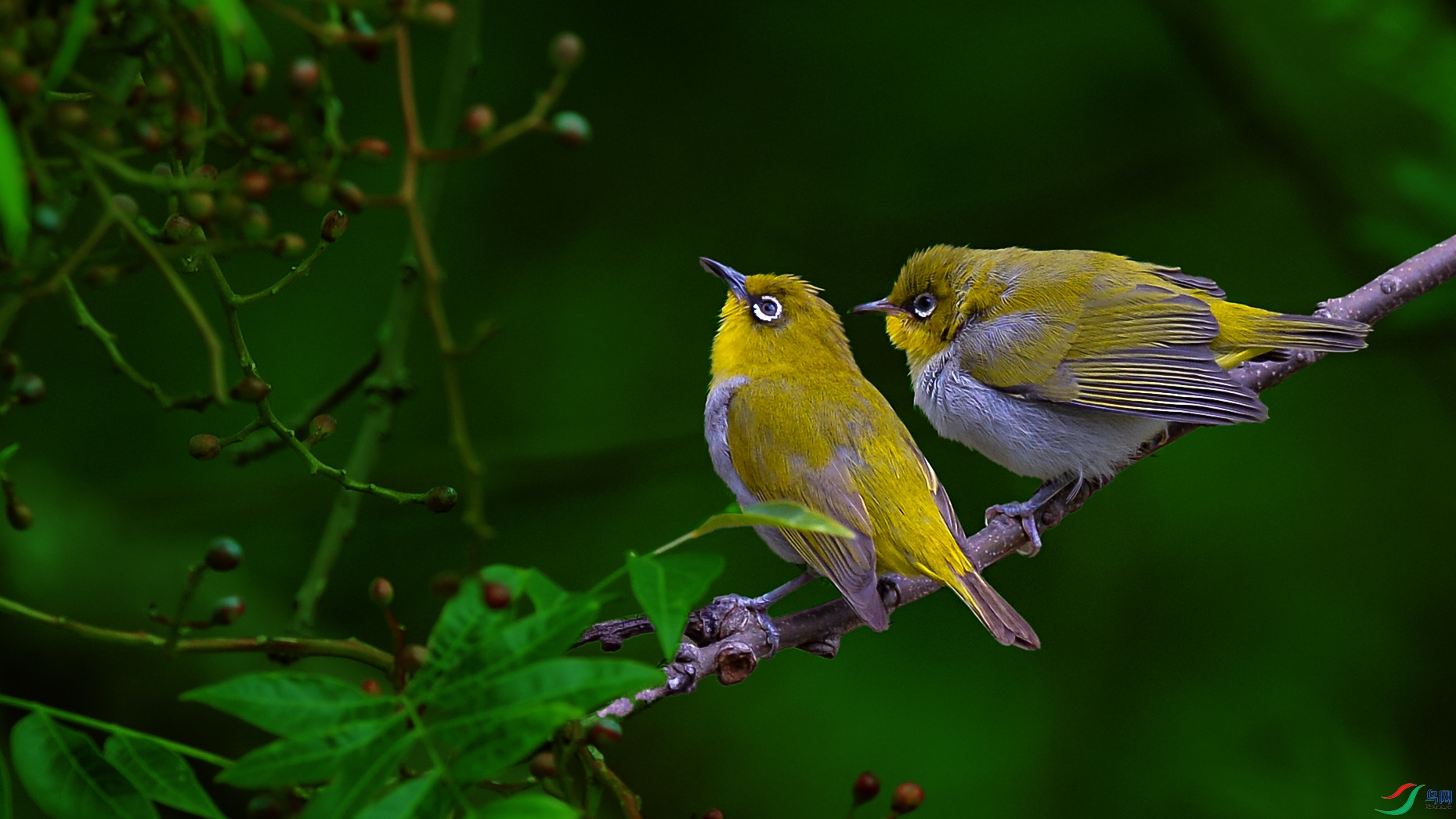 DSC_8452.jpg