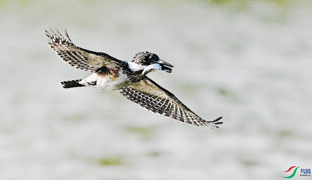 DSC_2836.JPG
