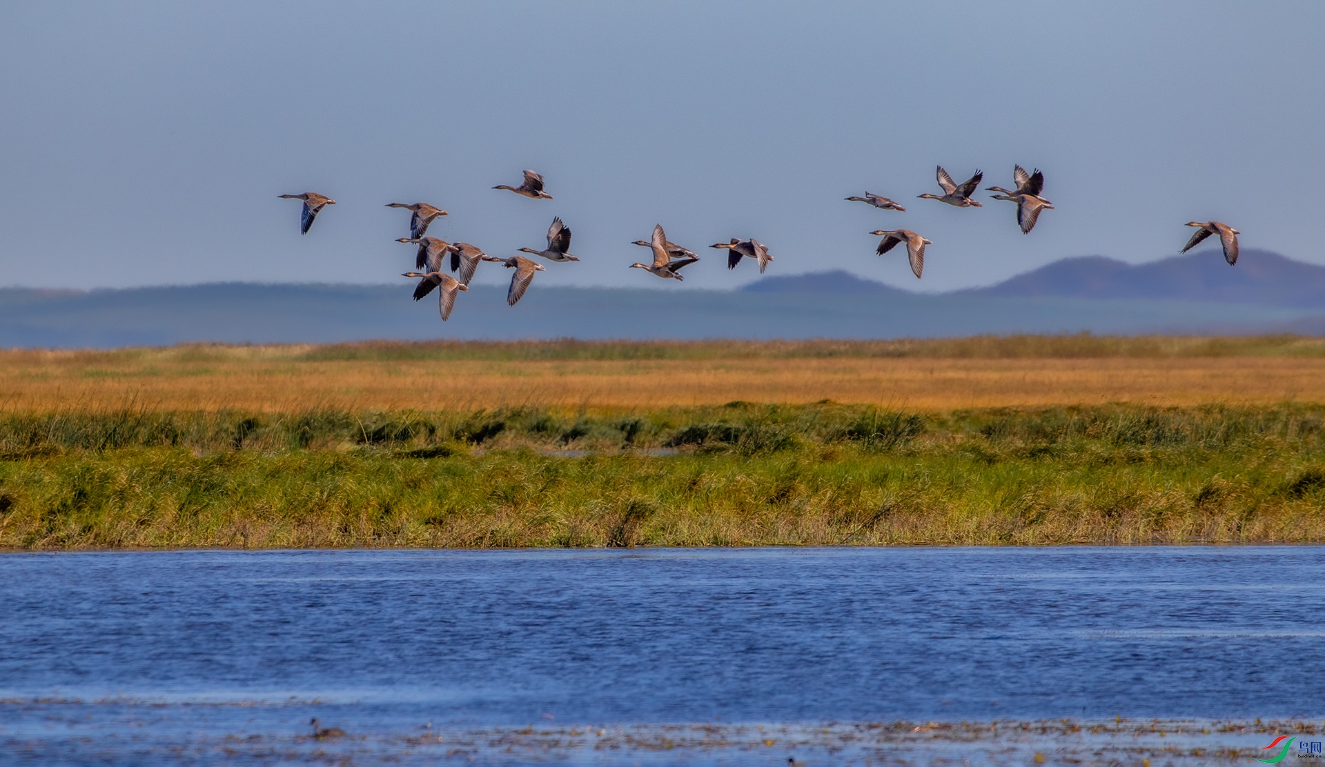 3S5A7804����  03.jpg