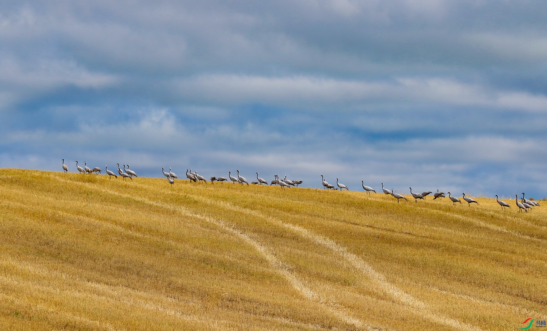 3S5A4215����  ʫ��Զ�� 03.jpg