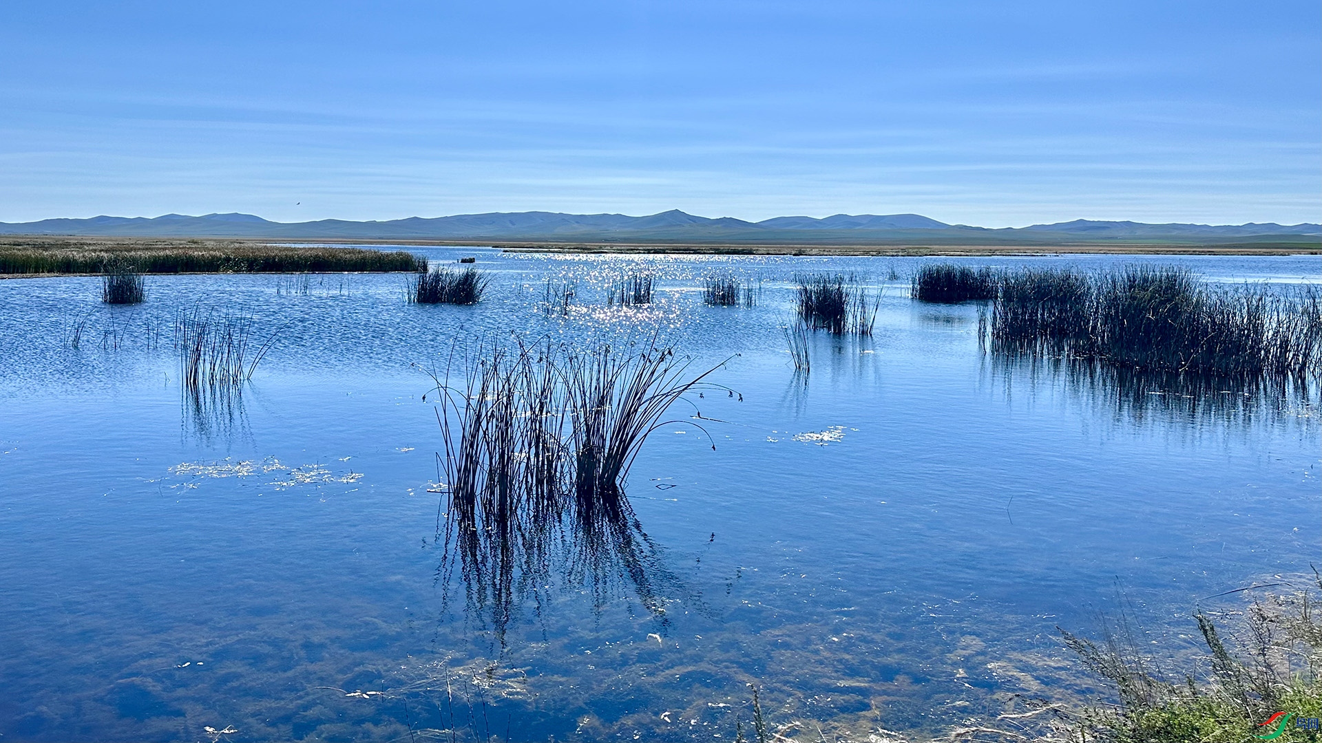 ����ʪ��  03.jpg