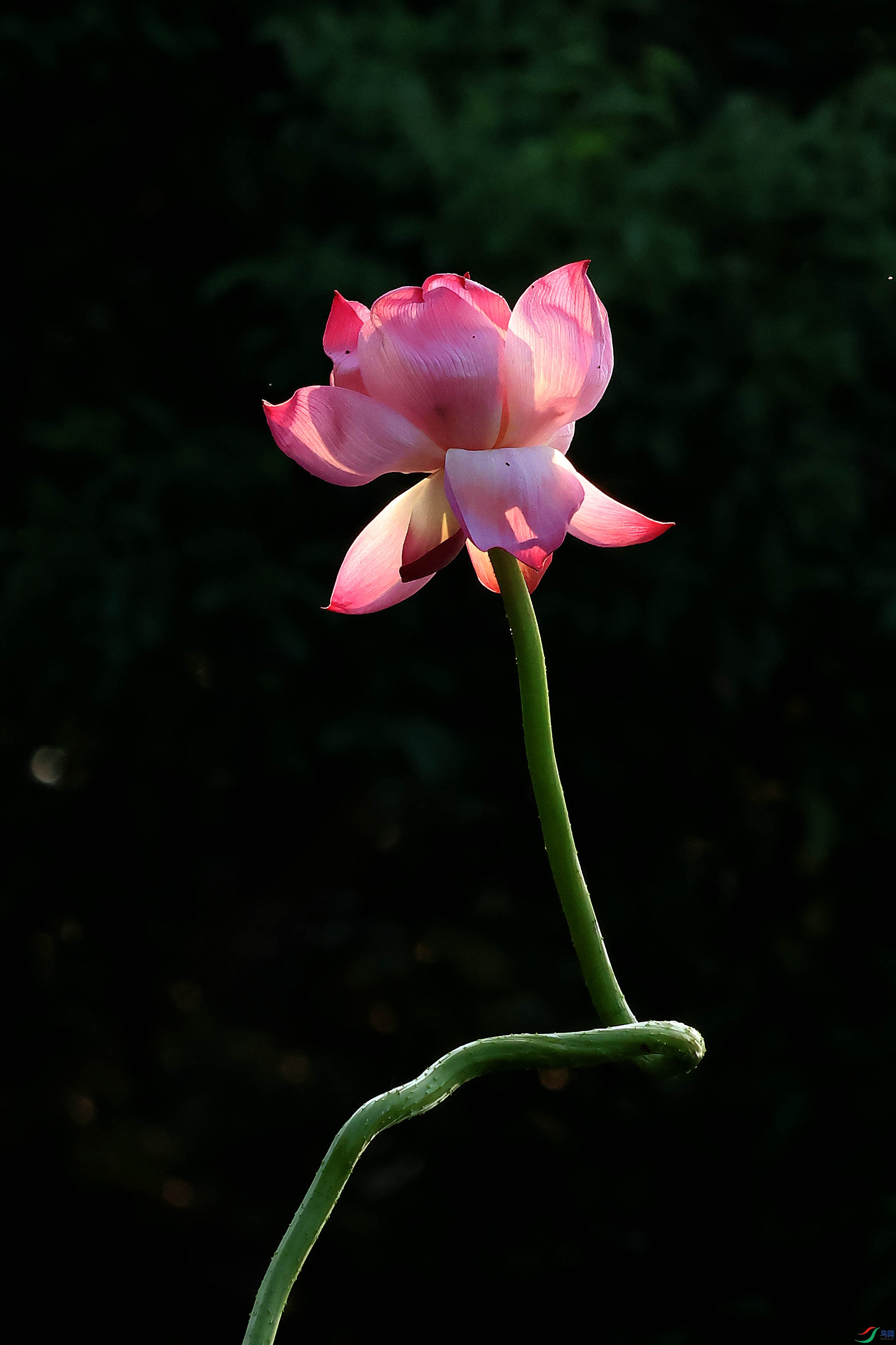 2G9A2558.JPG
