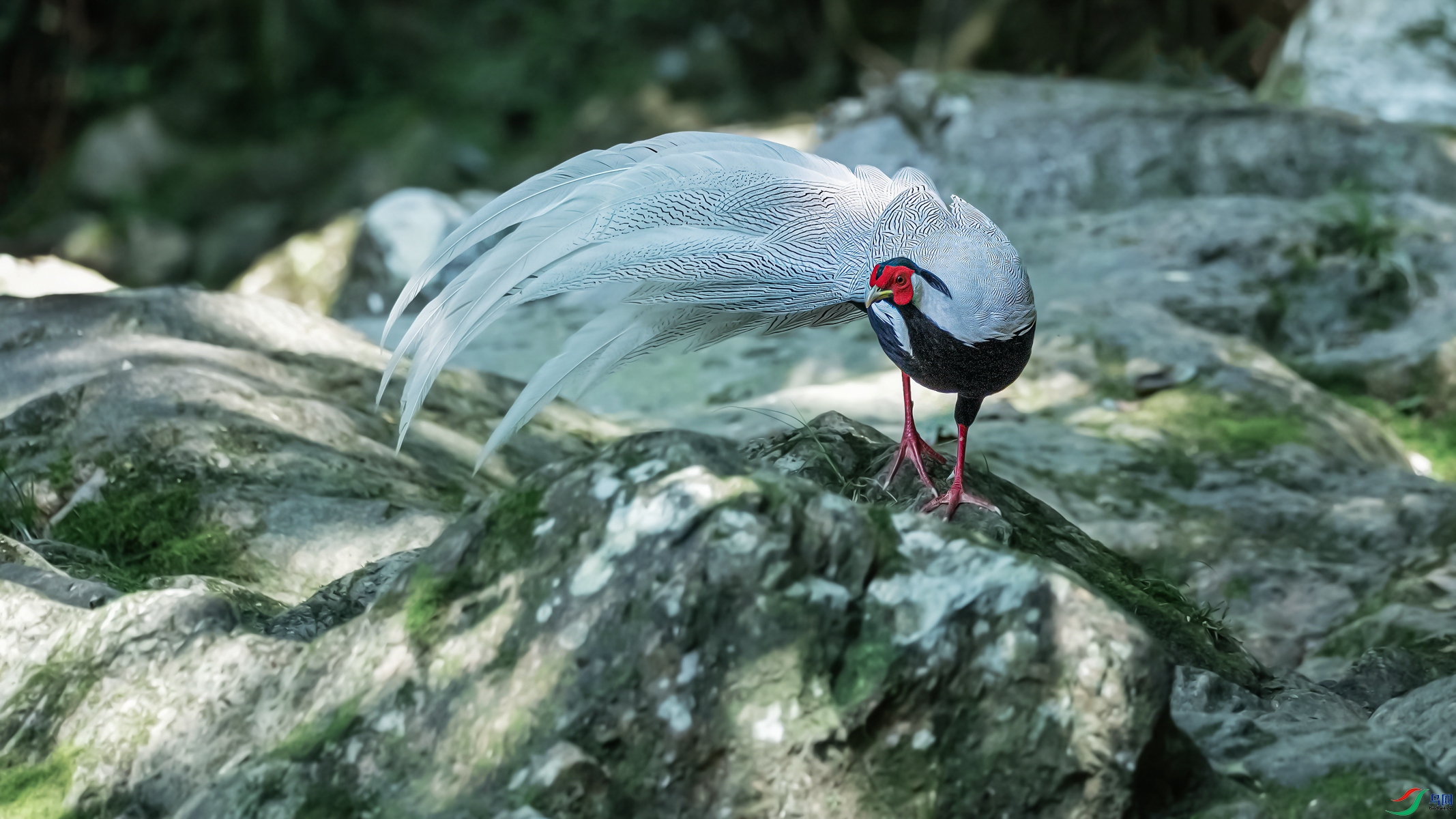 DSC_8341.jpgһ������-topaz-sharpen_����.jpg2.jpg