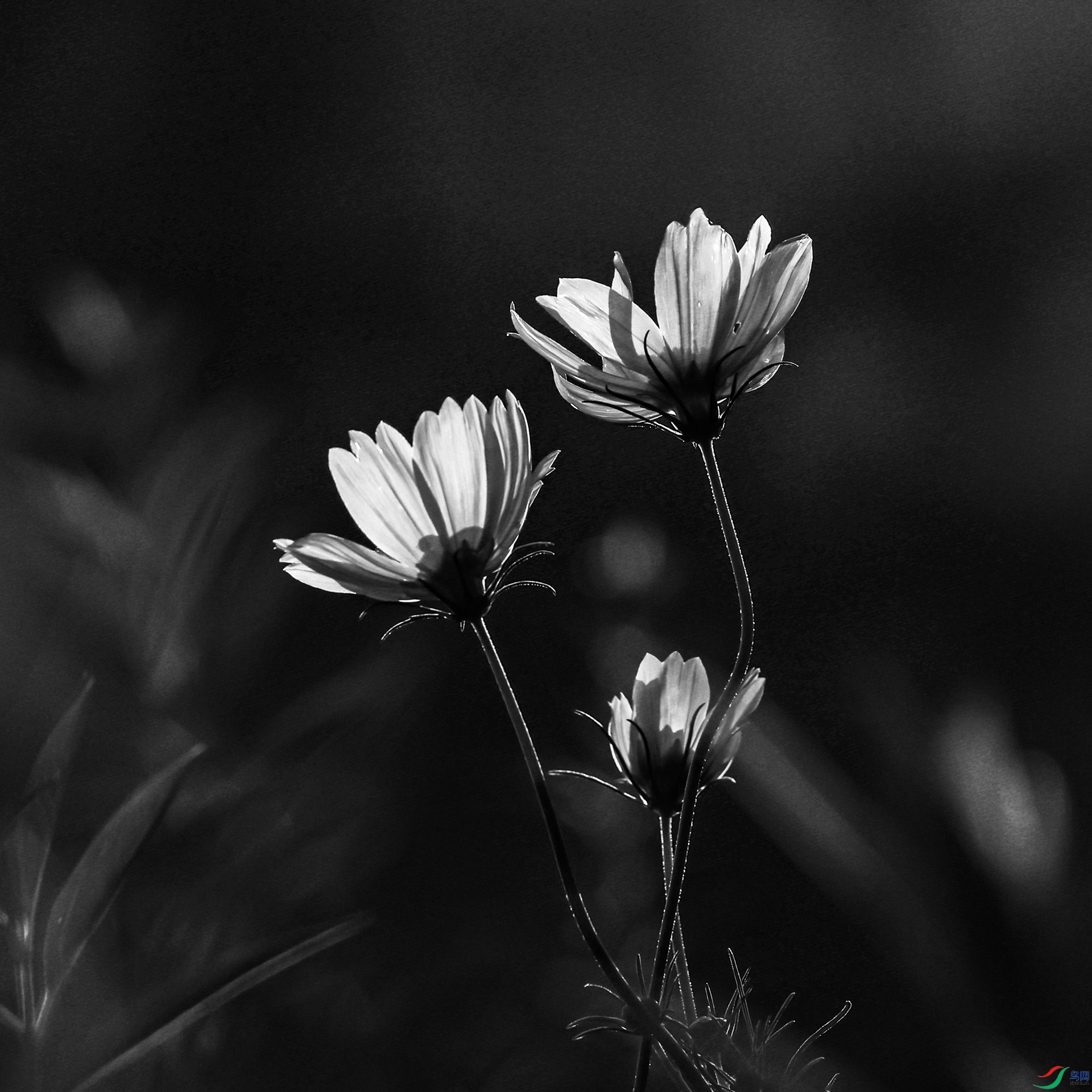 0909����.jpg