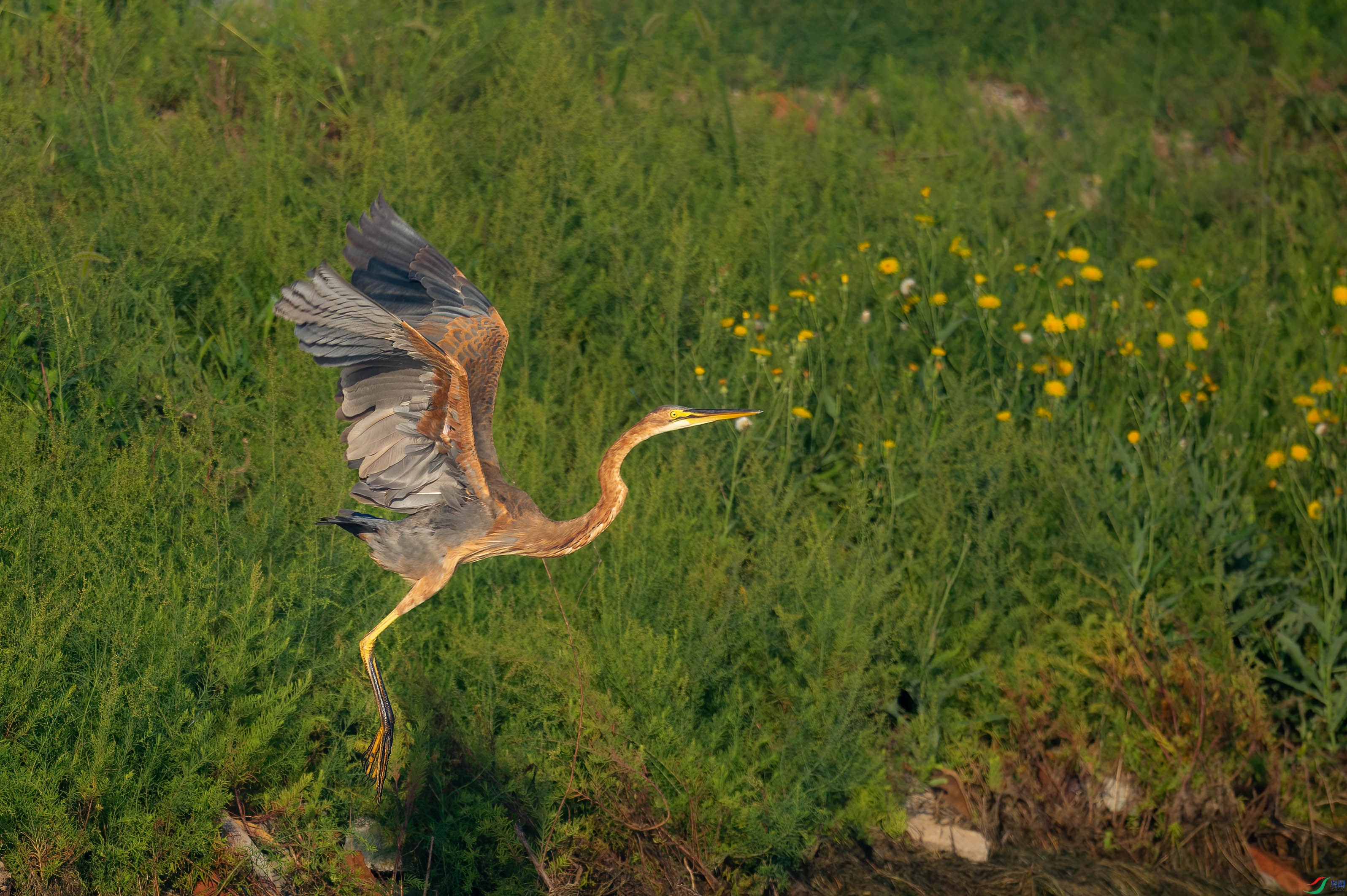 sen2016 8-27-7-�༭-2.jpg