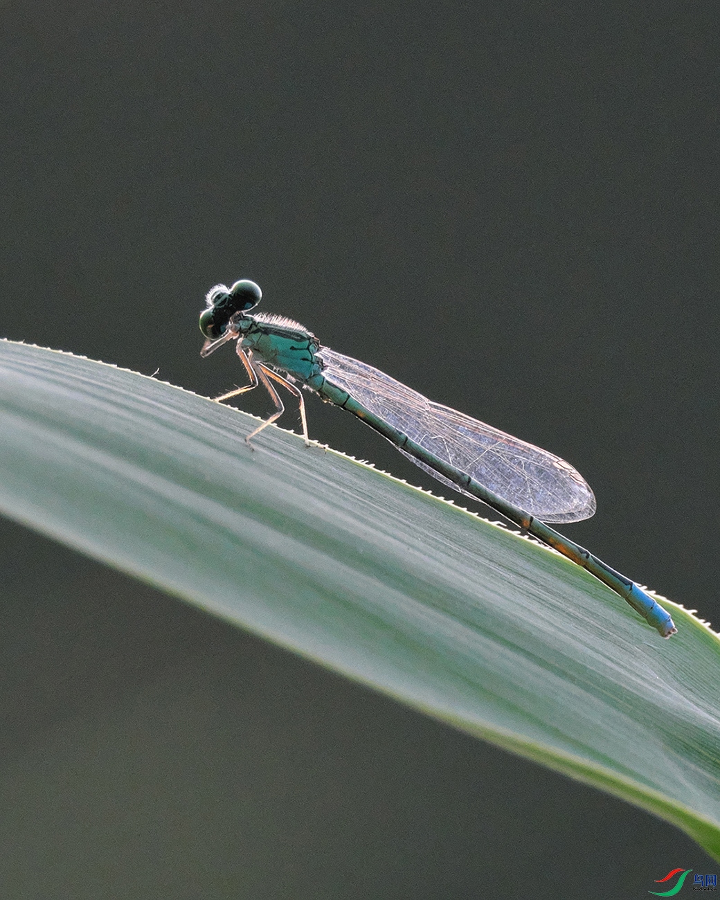 DSCF2783.jpg