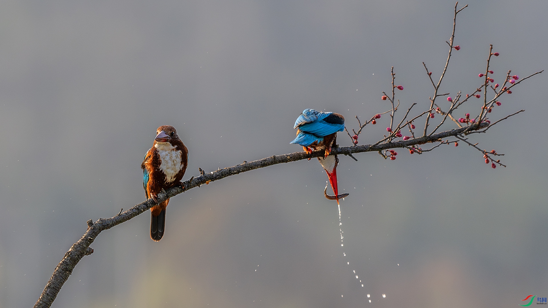 DSC_2486-����ǿ-NR.jpg