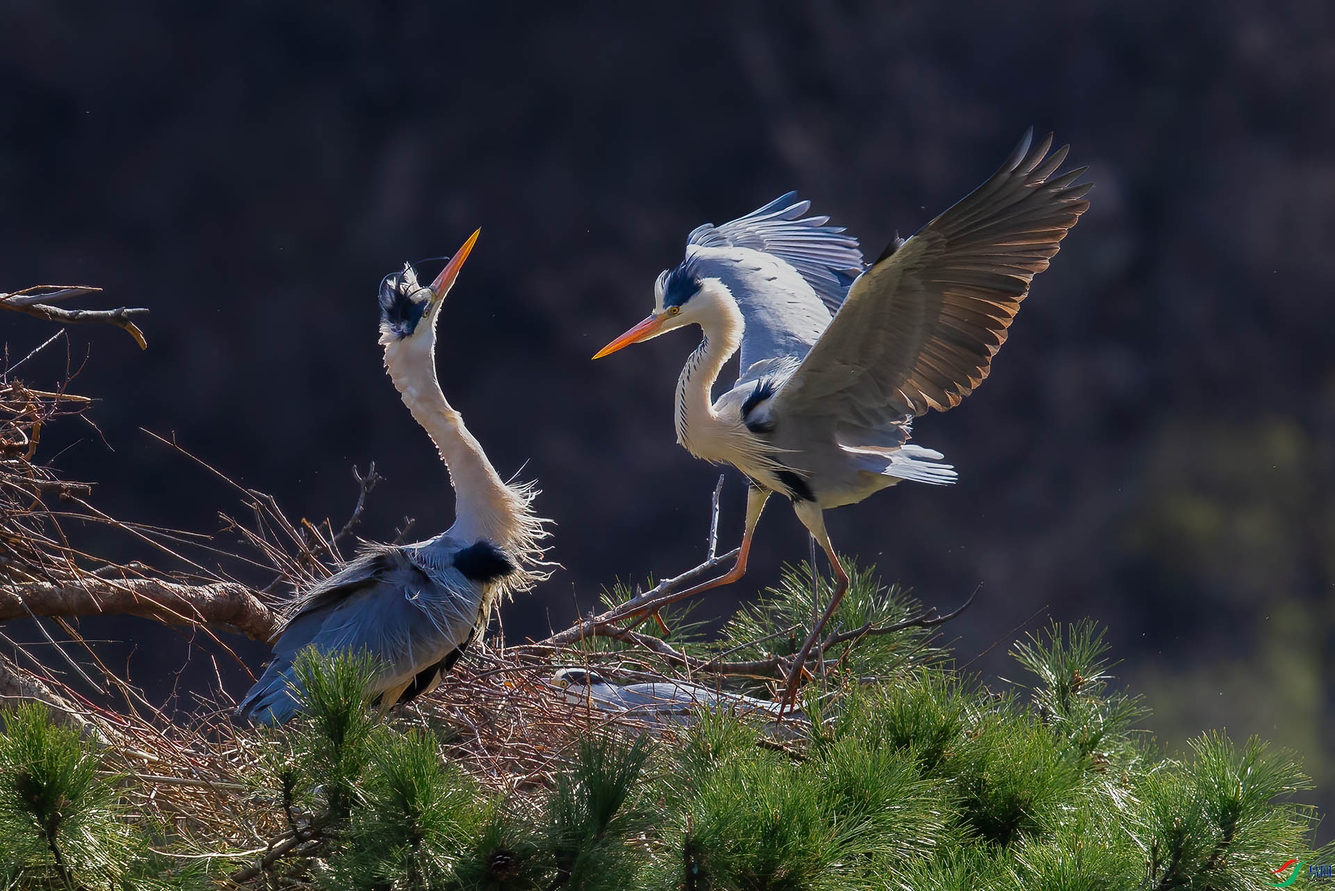 EL0T1025 ����.jpg