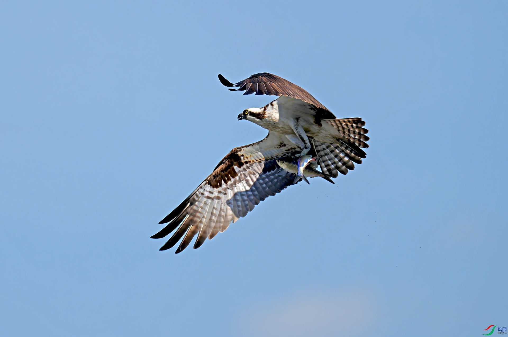 DSC02868--.jpg