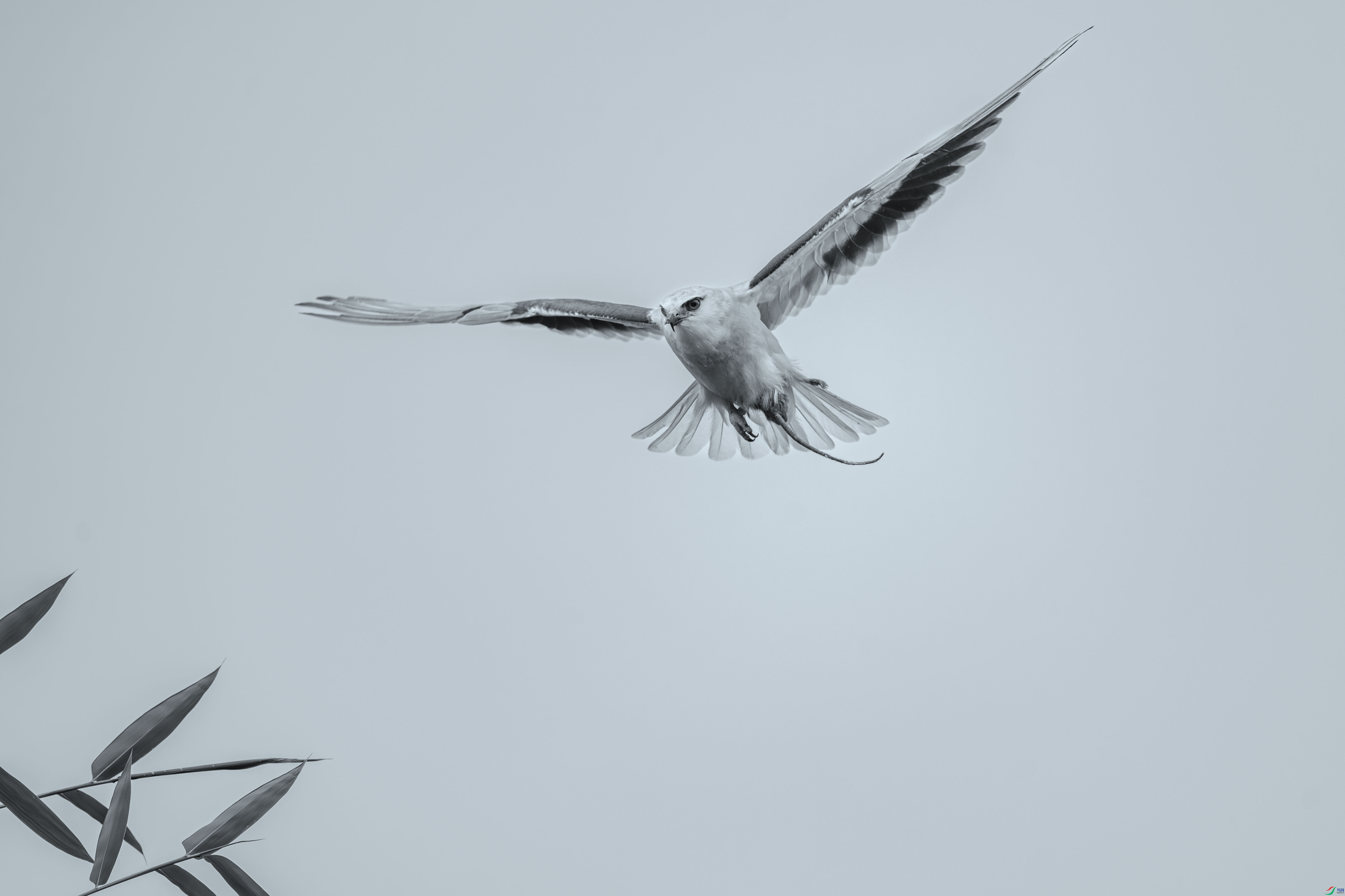 DSC_5836_1.jpg