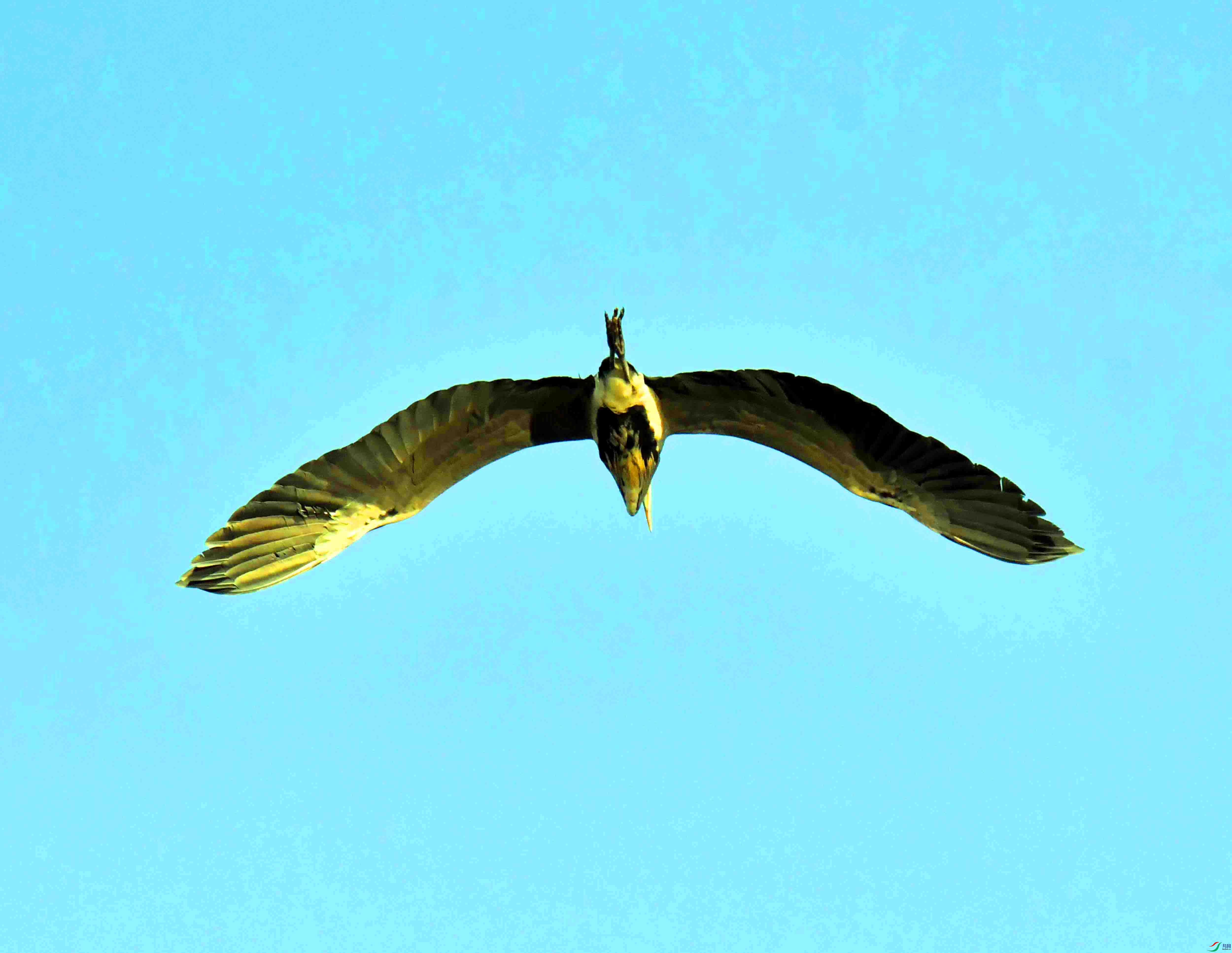 DSC_2123.JPG