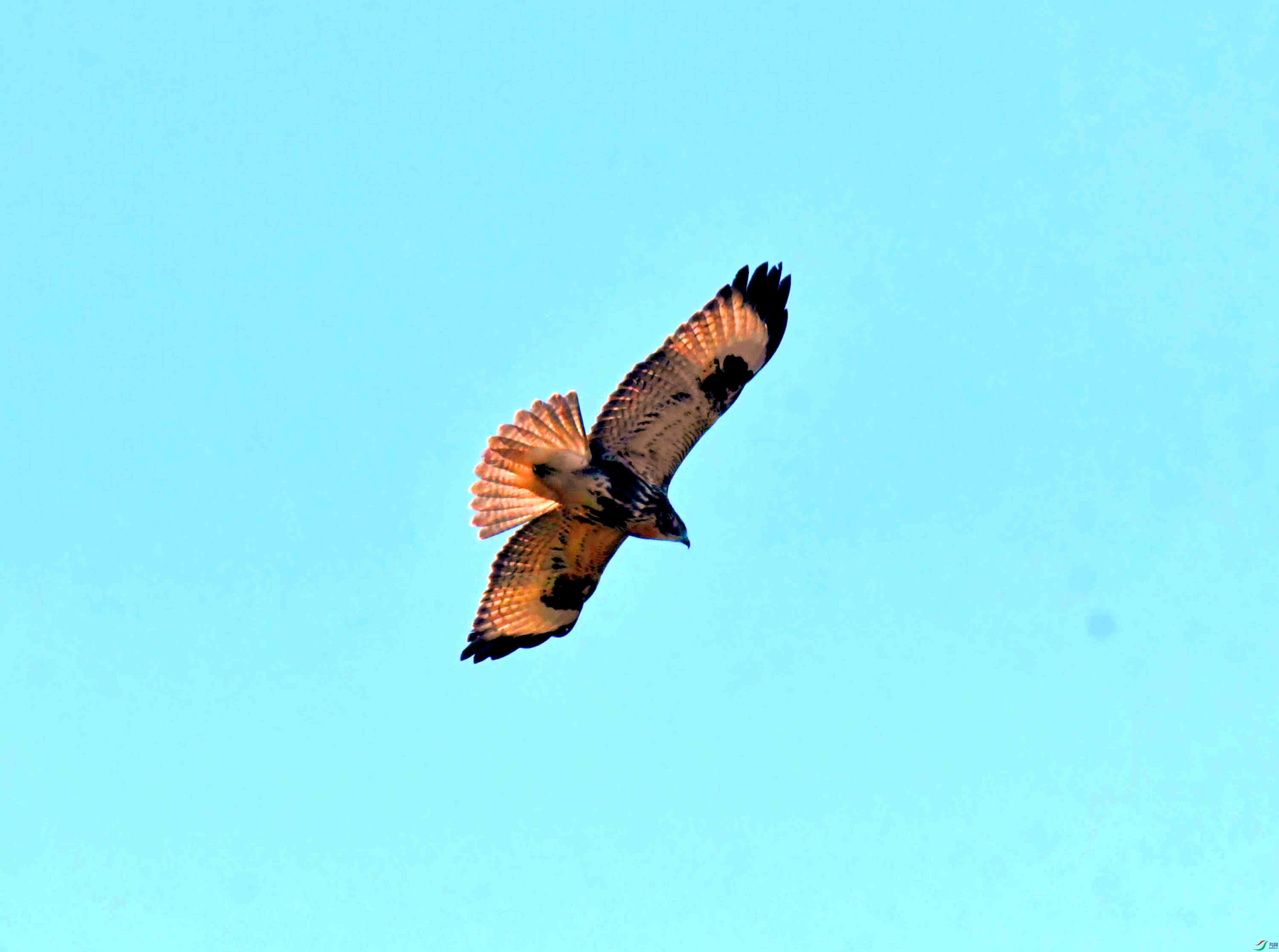 DSC_3012.JPG
