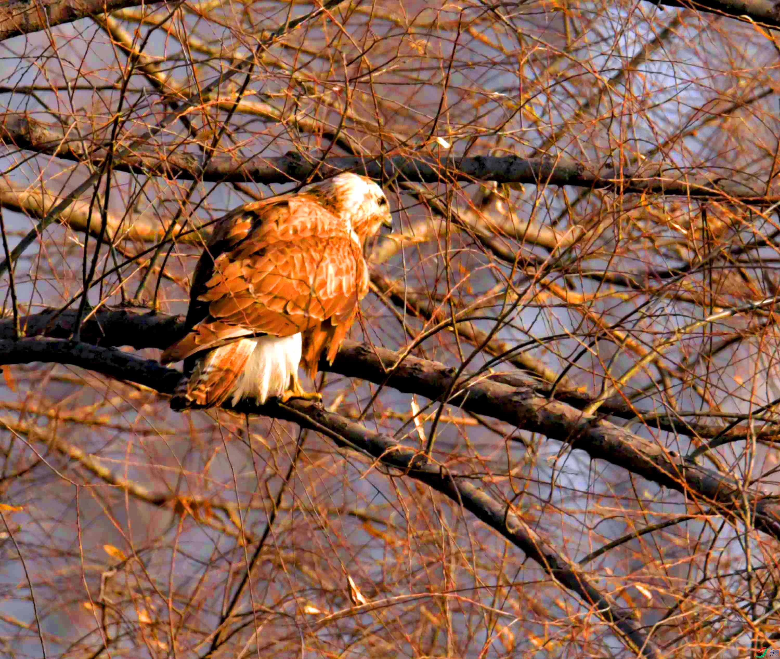 DSC_3272.JPG