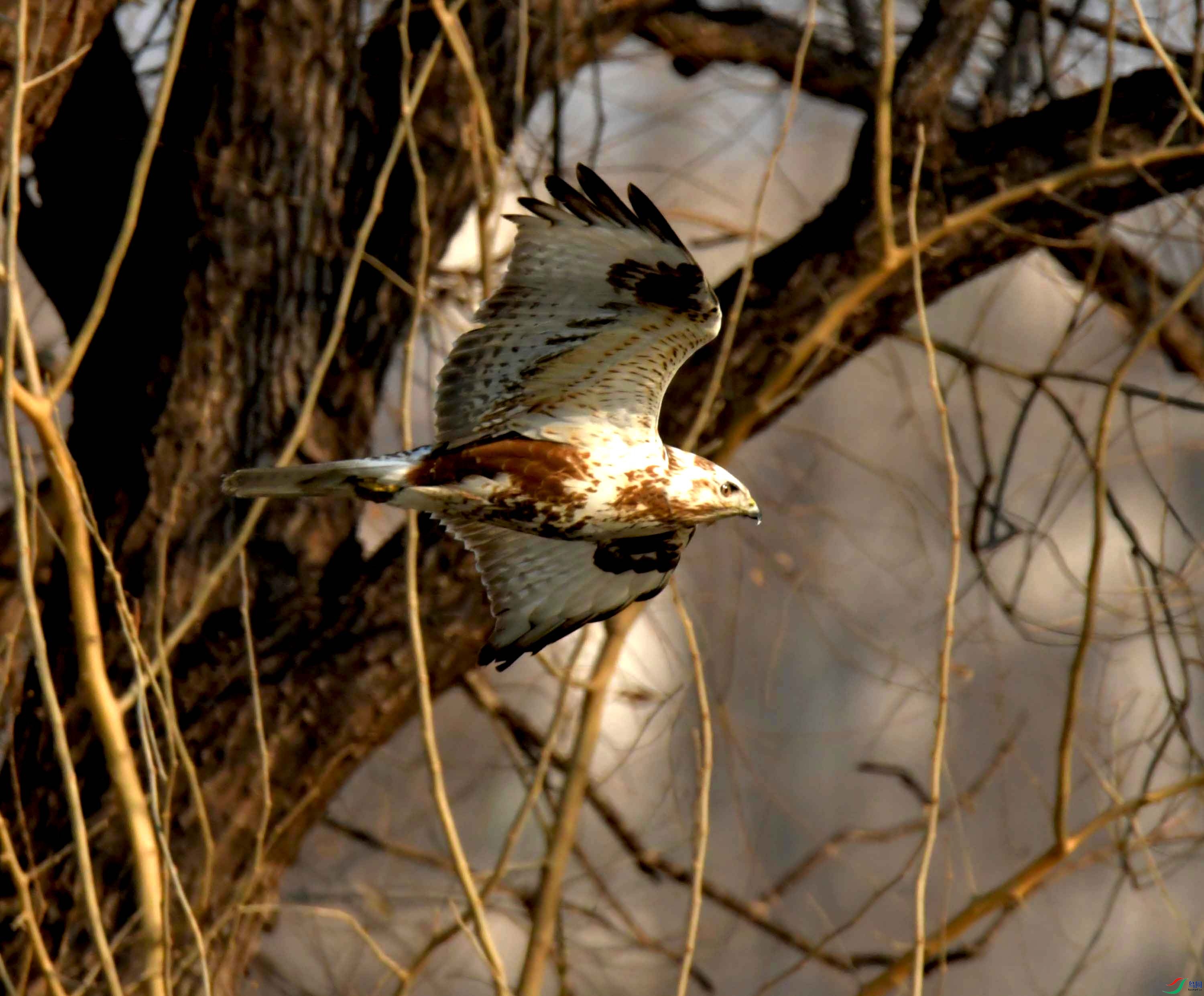 DSC_3253.JPG