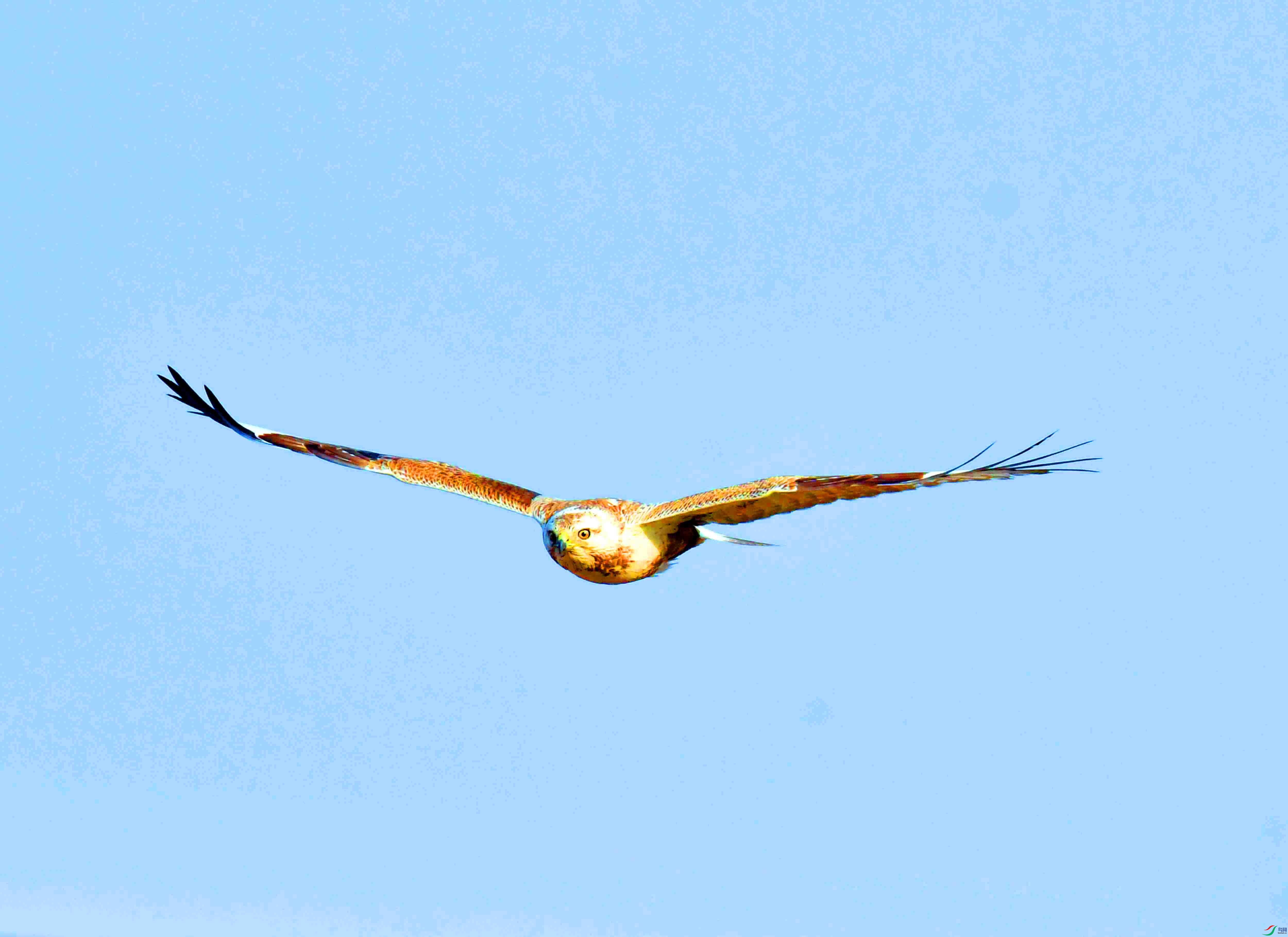 DSC_6179.JPG