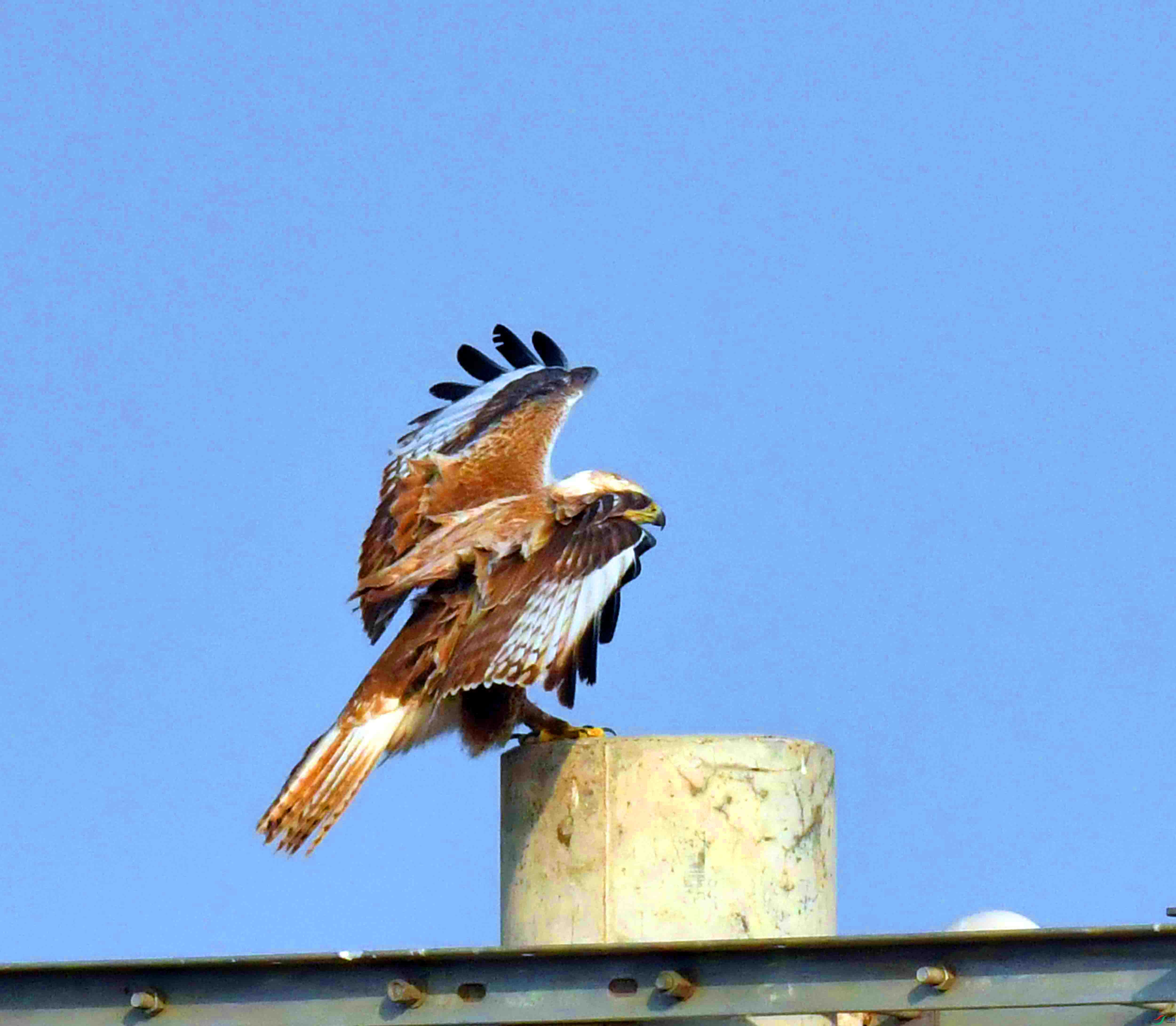 DSC_6218.JPG