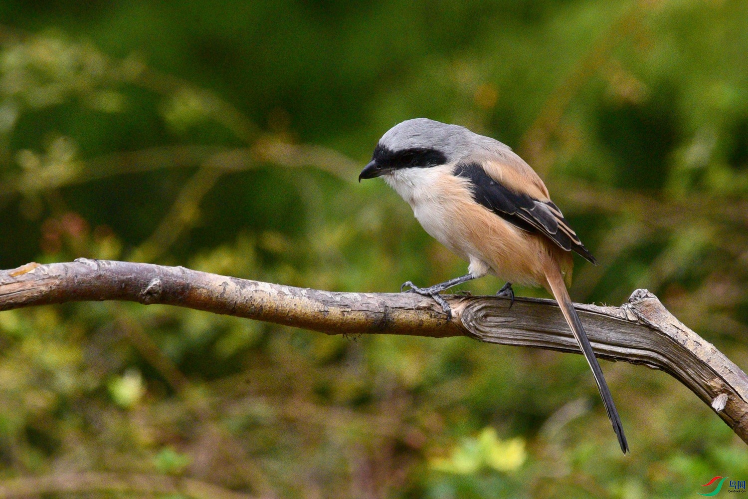 DSC_5136.JPG