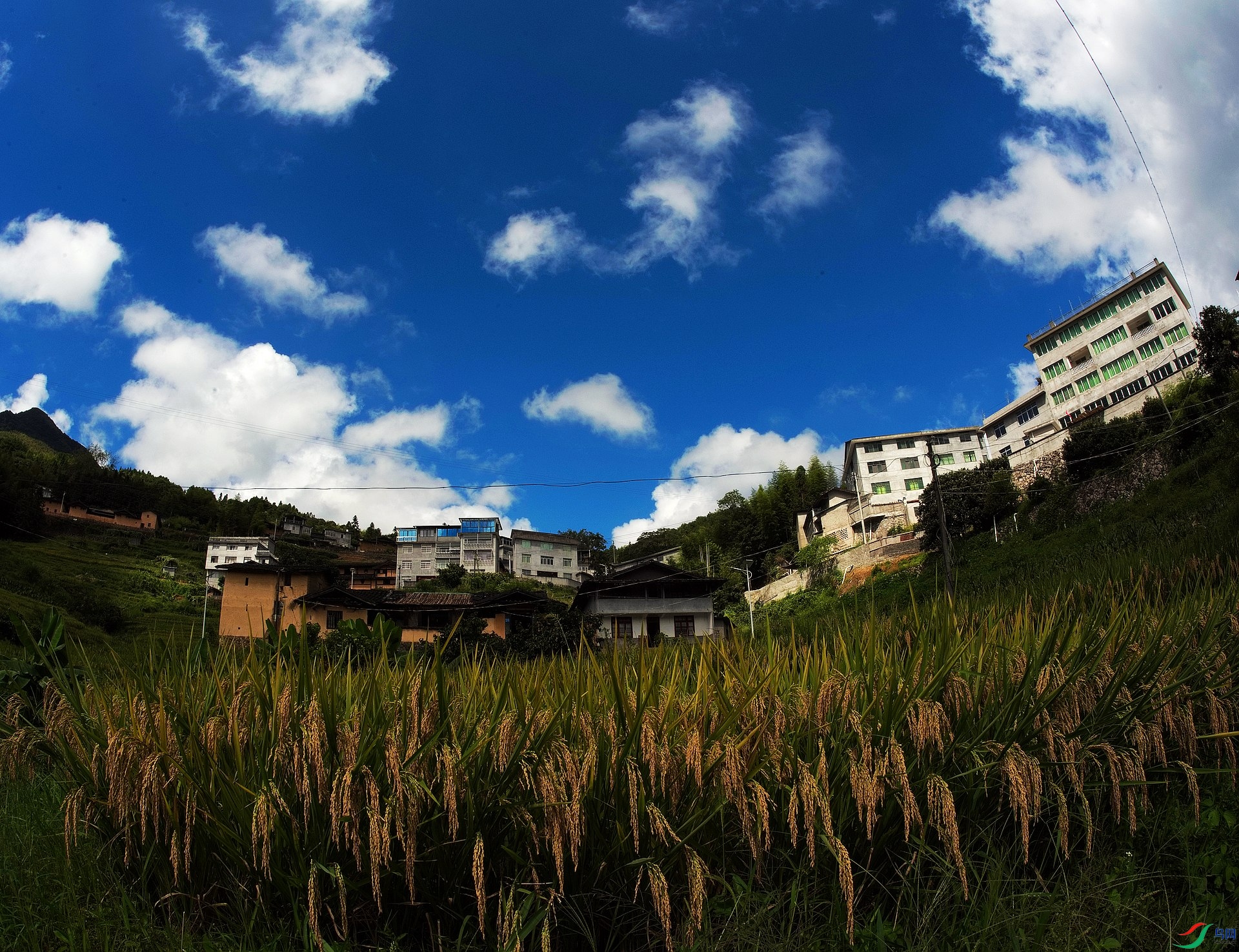 D8I_1290.jpg