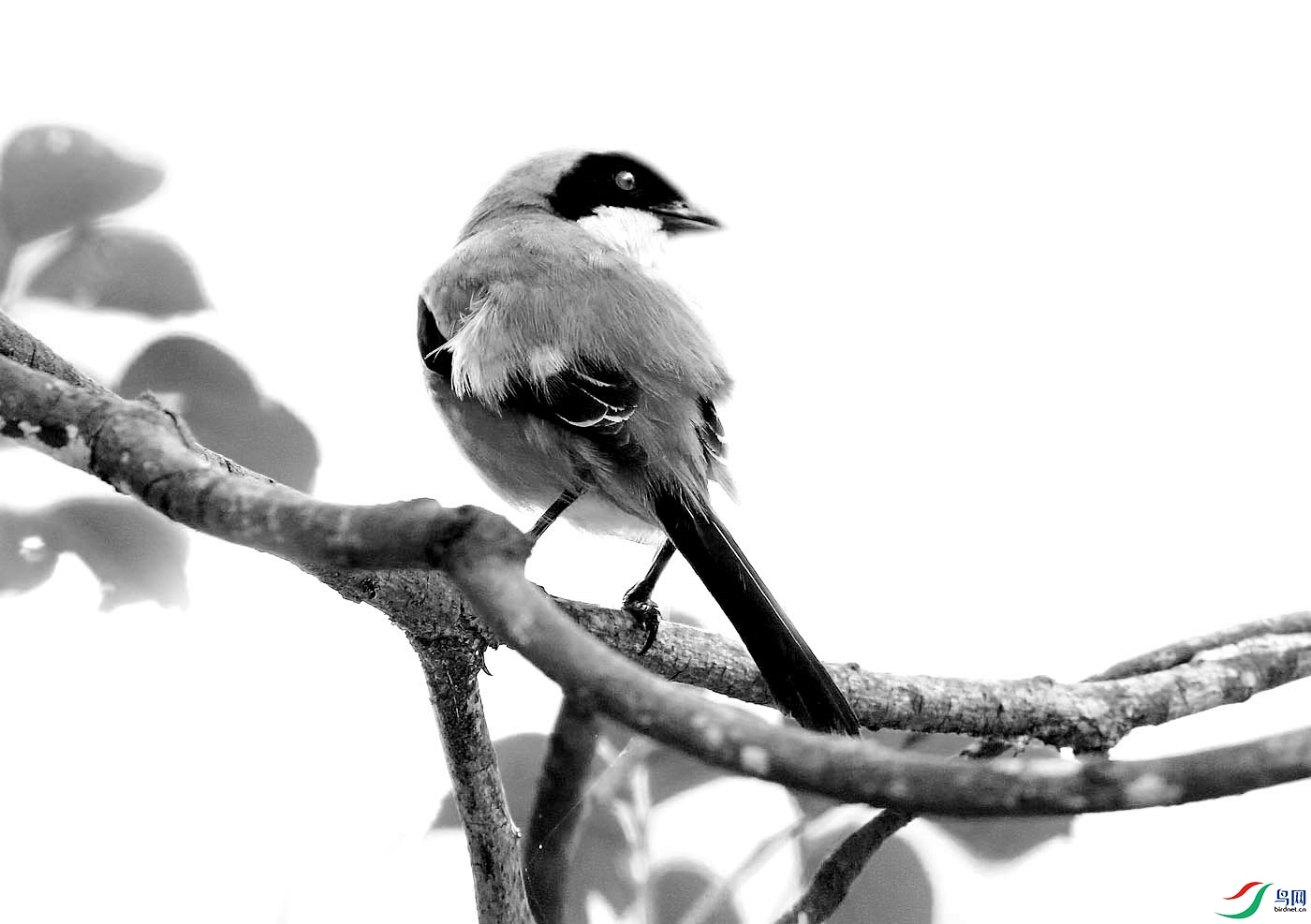 01-�� ��.jpg