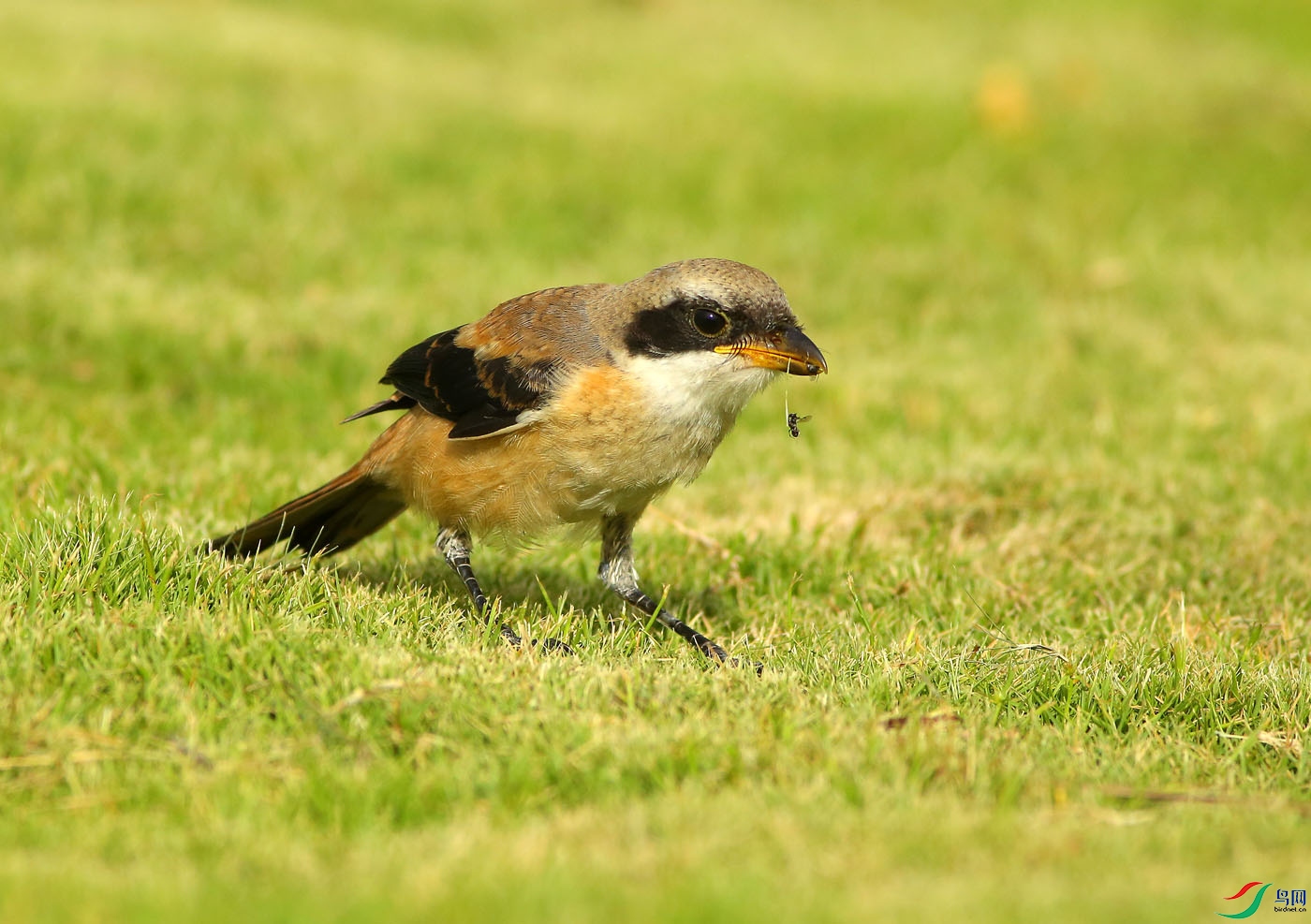 05-�� ��.jpg