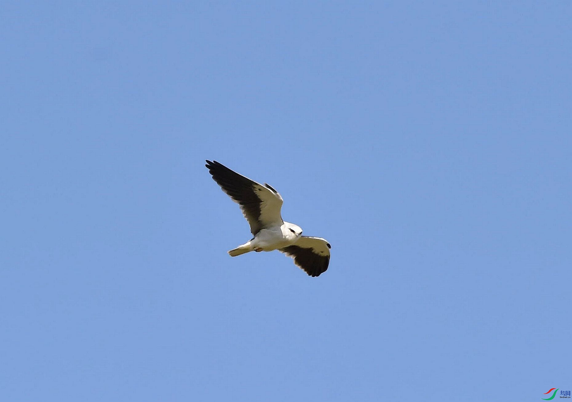 DSC_6629_����.jpg