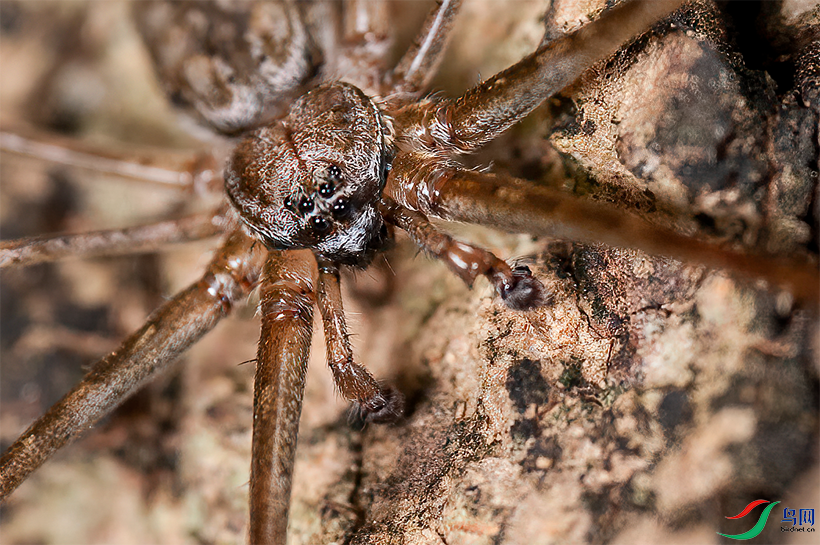 DSC_2254.png    00002.png