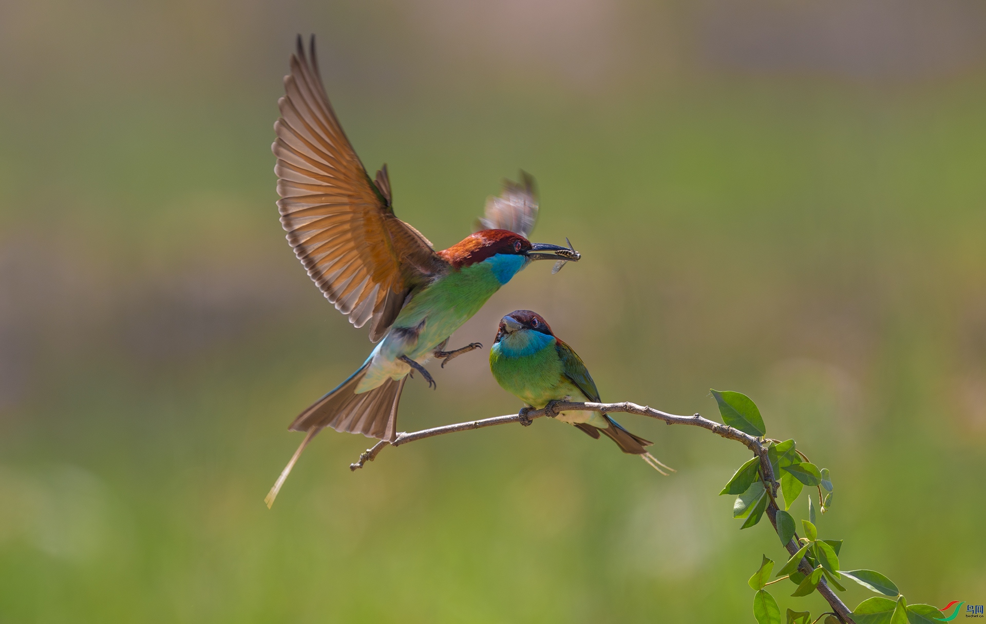 ����083A1641.jpg